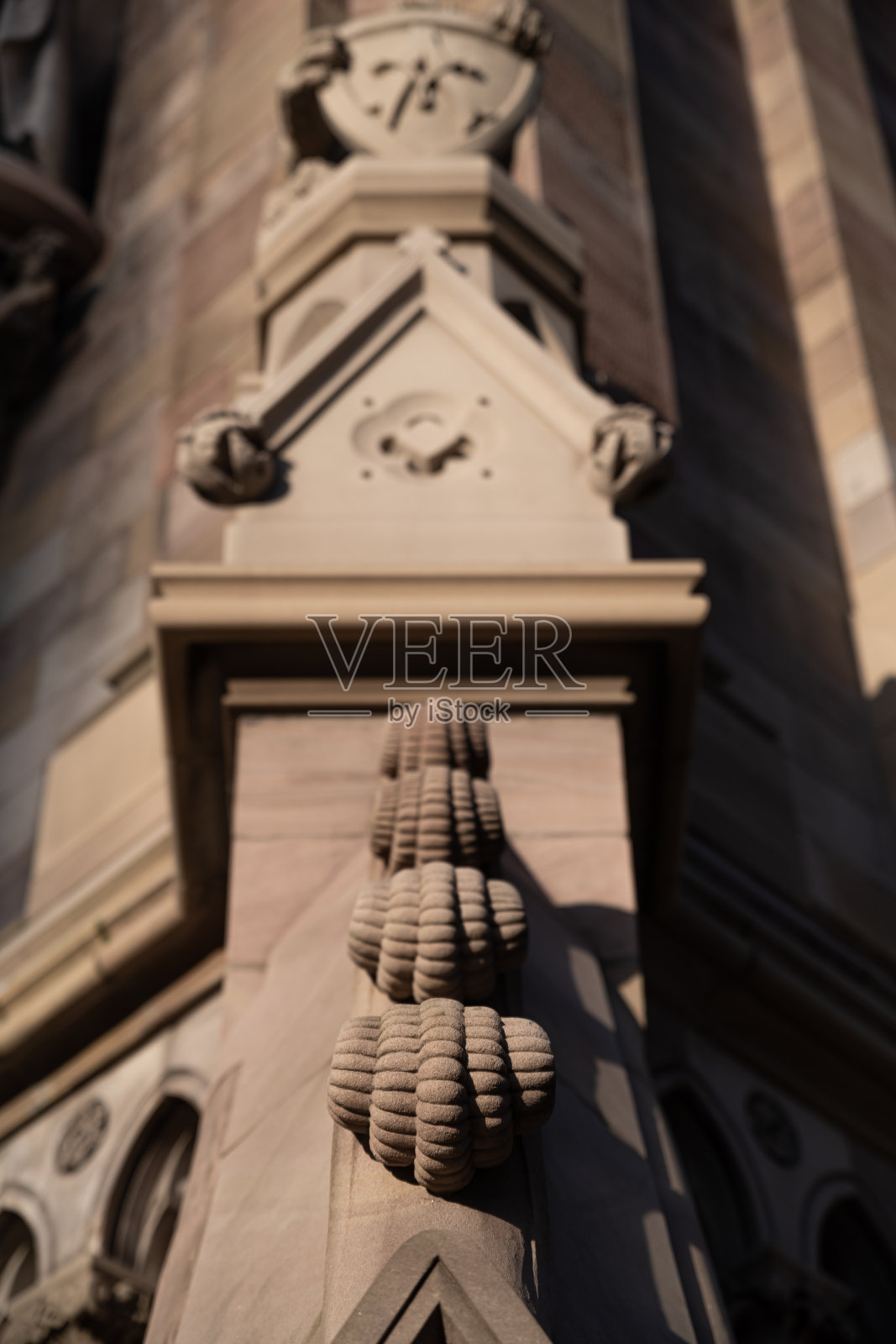 在墙上砂岩上雕刻出的卷曲蕨类叶子照片摄影图片