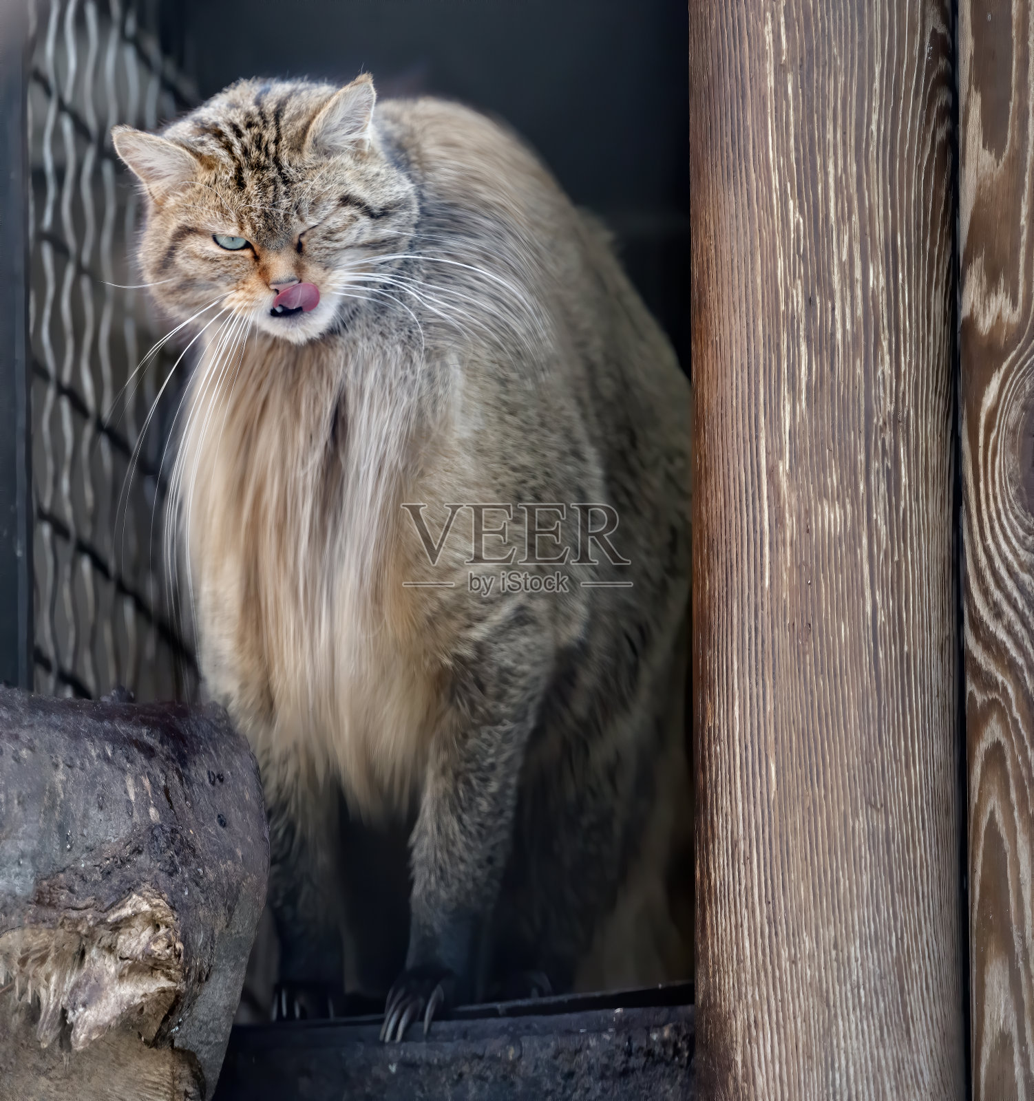 未知的物种照片摄影图片