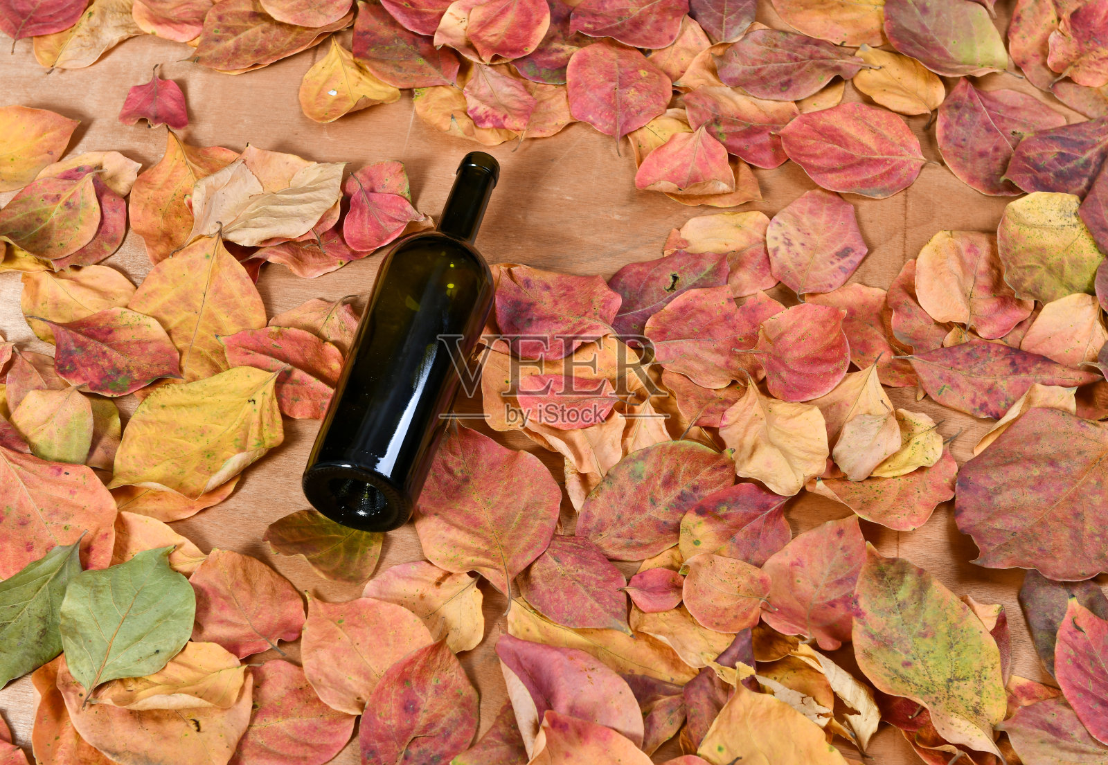 黄叶上的空酒瓶。照片摄影图片