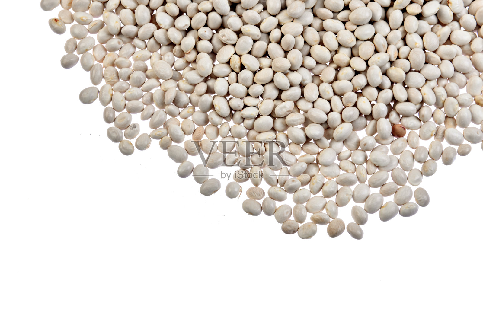 豆豆。照片摄影图片