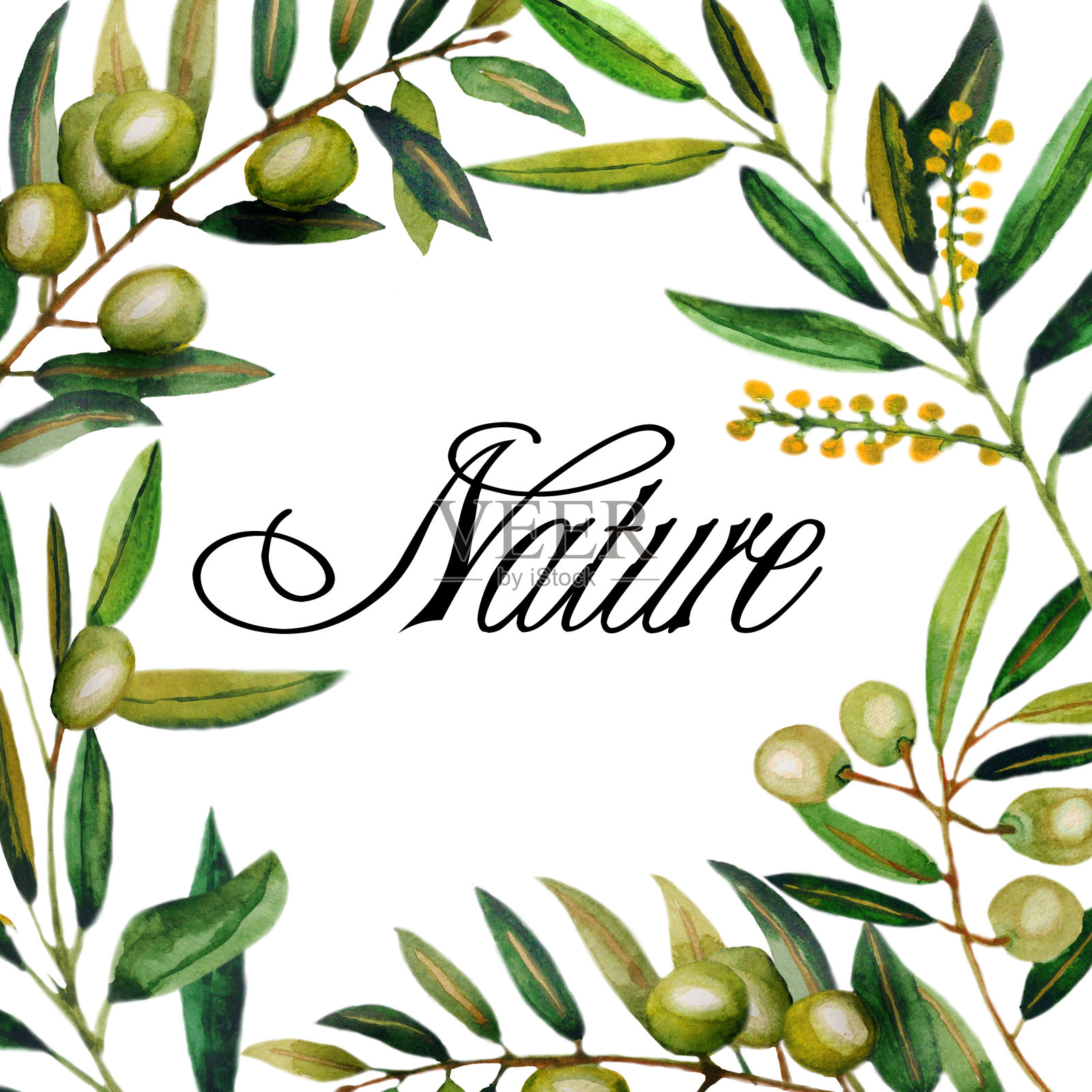 水彩插图。方形框架的橄榄枝…在白色背景上孤立的物体。印刷纺织品，织物，墙纸插画图片素材
