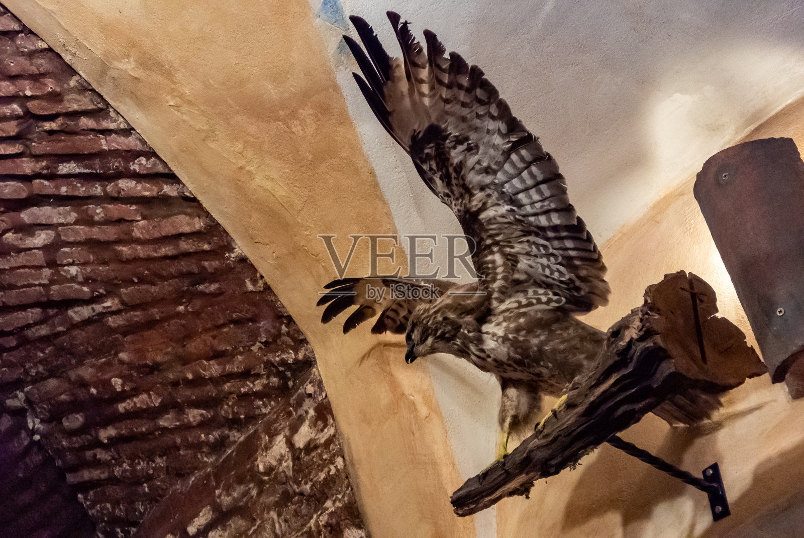 黄昏时分，卢布尔雅那的主要城市广场照片摄影图片