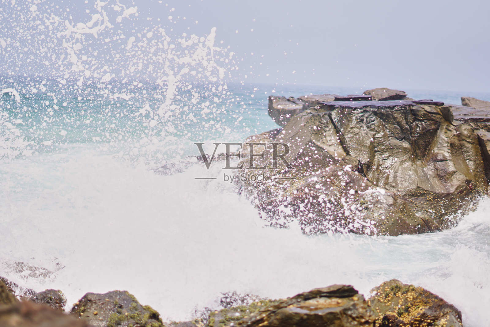 在海滩上玩一天照片摄影图片