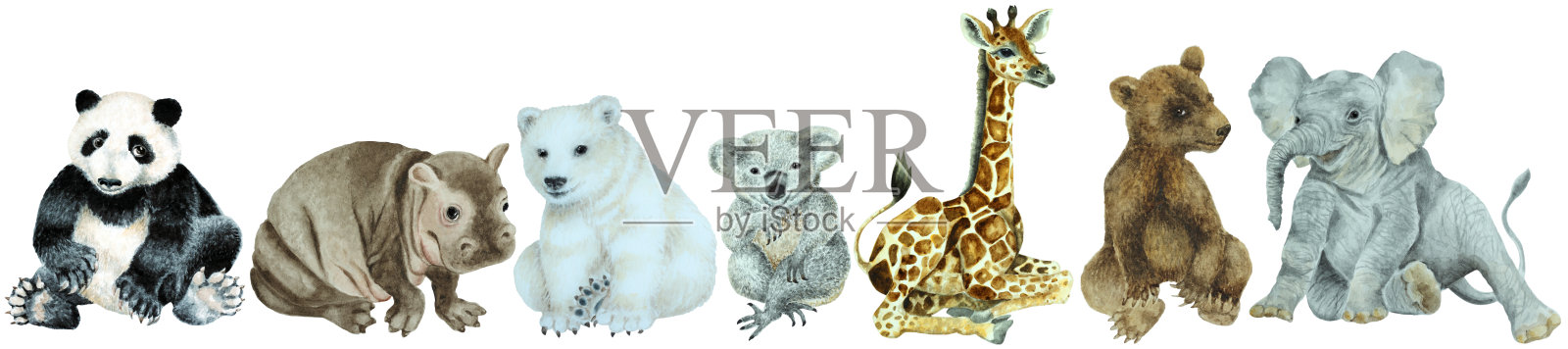 小河马，长颈鹿，棕熊，考拉，北极熊，熊猫，大象在一个白色的背景，手绘水彩。插画图片素材