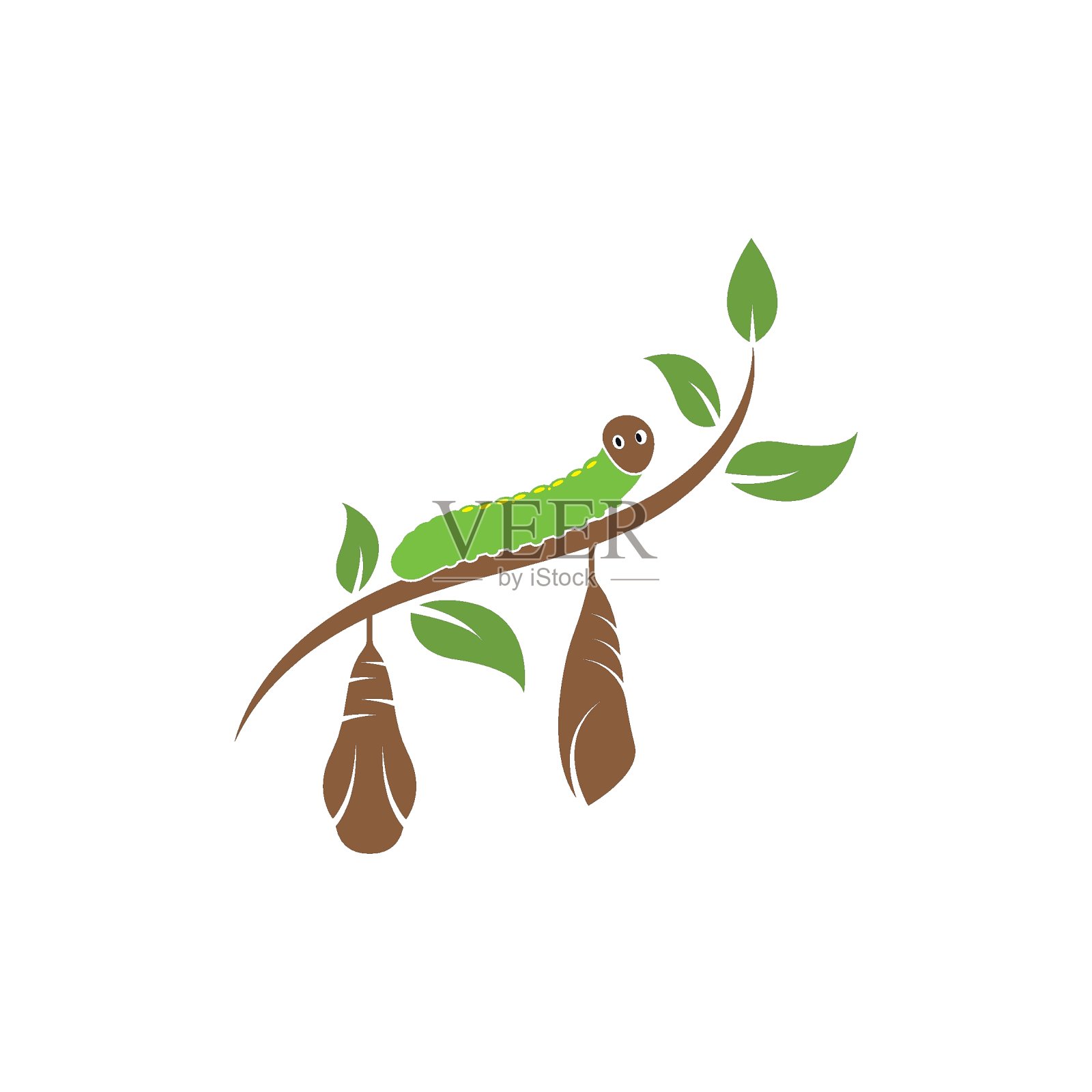 茧矢量插图设计插画图片素材