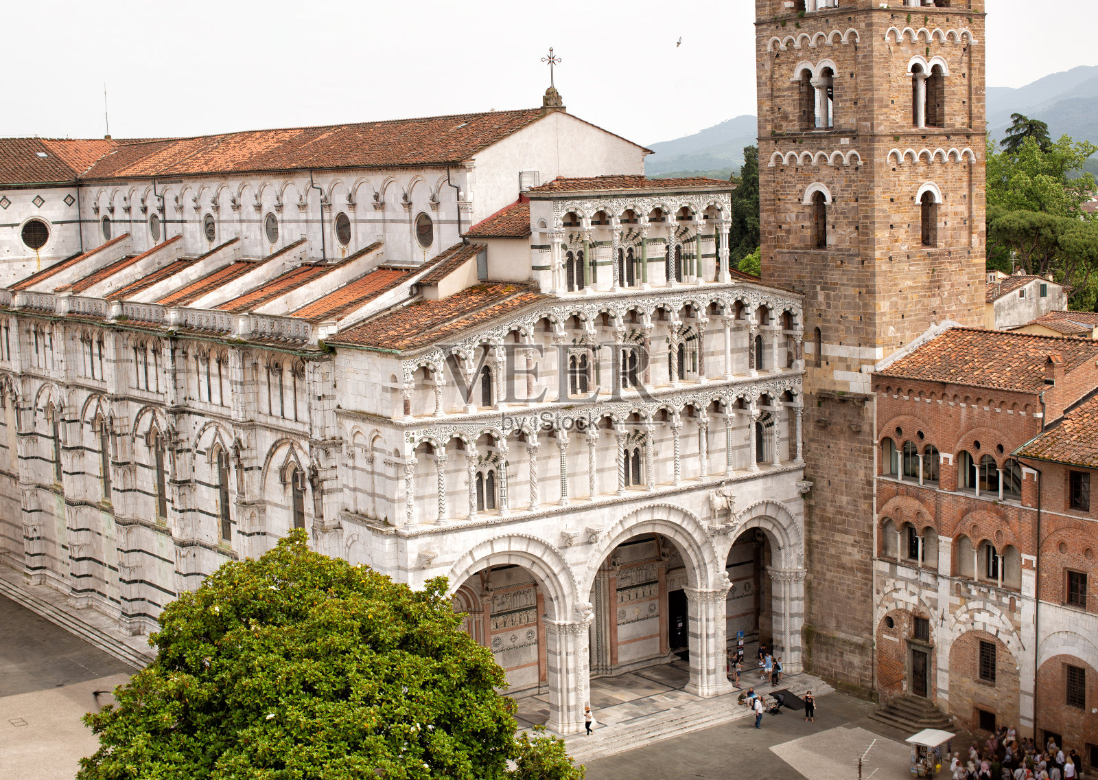 大教堂的卢卡照片摄影图片