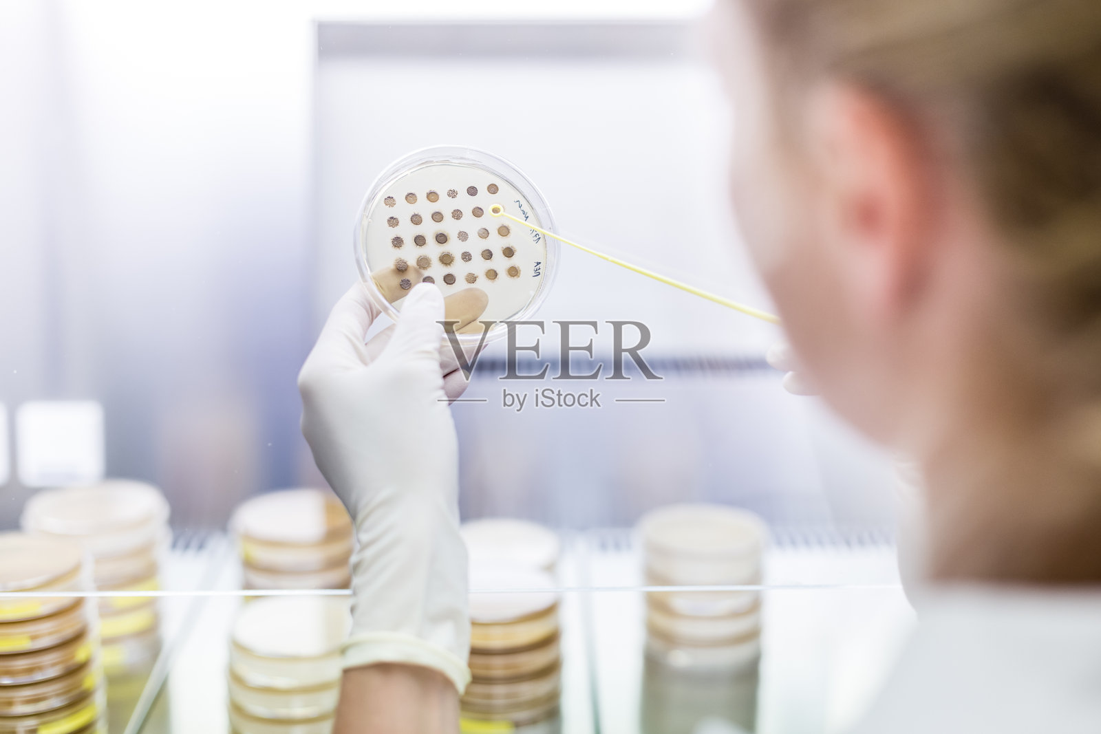 在冠状病毒疫苗开发实验室研究机构使用层流的女科学家照片摄影图片