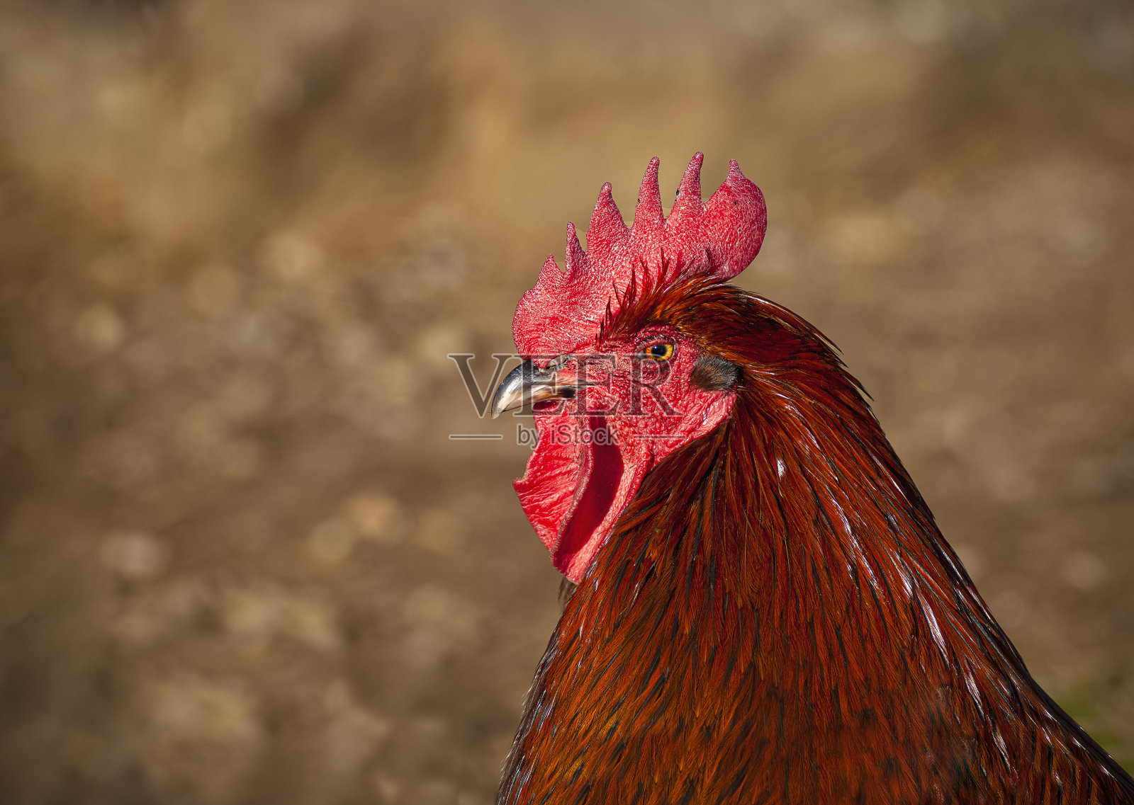 旋塞照片摄影图片