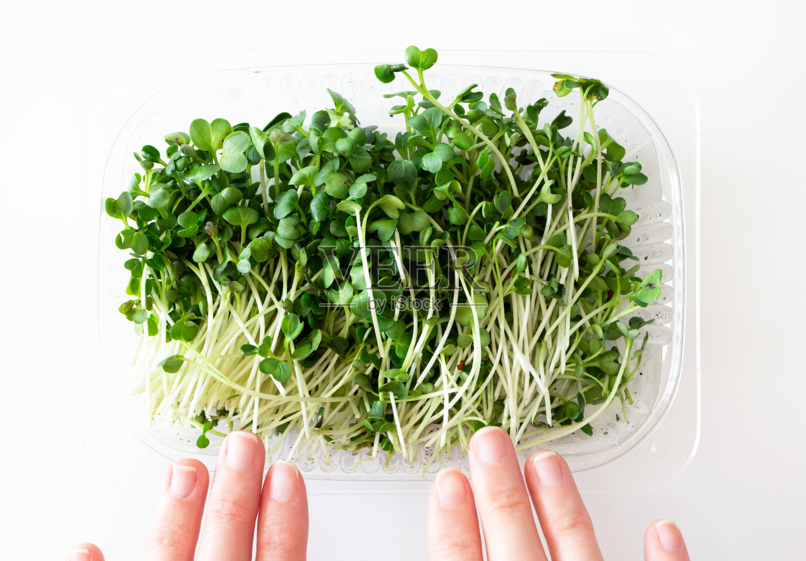 微型绿色萝卜芽在塑料盒和妇女手指，俯视图。超级食物,特写镜头。健康生活方式和饮食的概念照片摄影图片