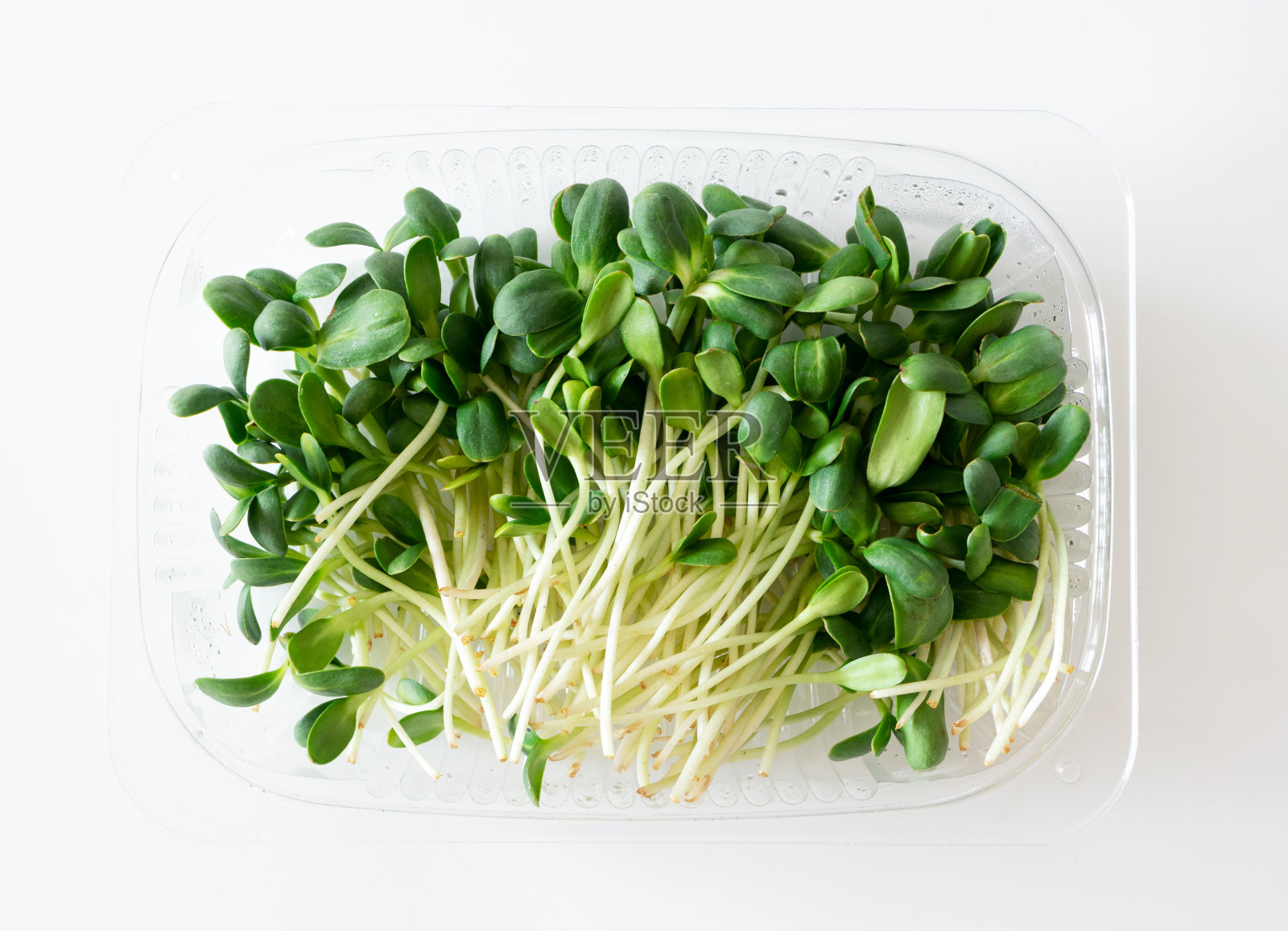 向日葵微绿色芽在塑料盒上白色背景，俯视图。超级食物,特写镜头。健康生活方式和饮食的概念照片摄影图片