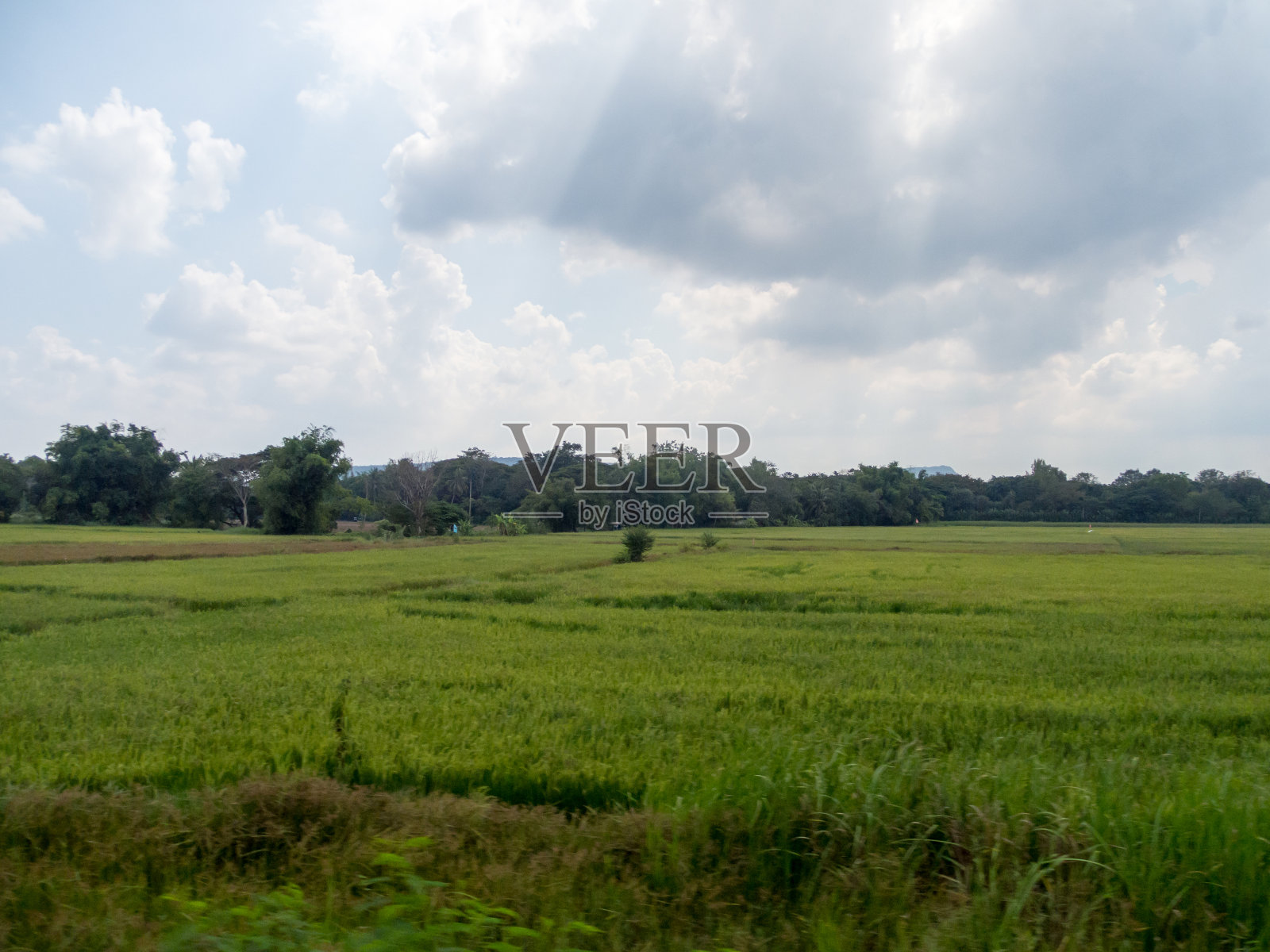 草地和田野天空中有云照片摄影图片