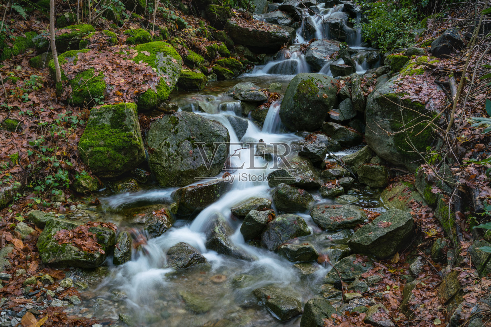 在落叶覆盖的石头间流淌照片摄影图片