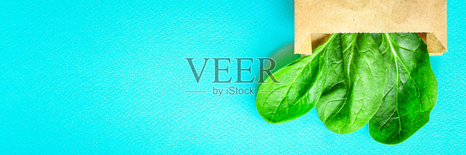 菠菜叶、新鲜绿色蔬菜、微型蔬菜，菜单概念，食品背景，酮或古饮食。顶部视图。文本的复制空间照片摄影图片