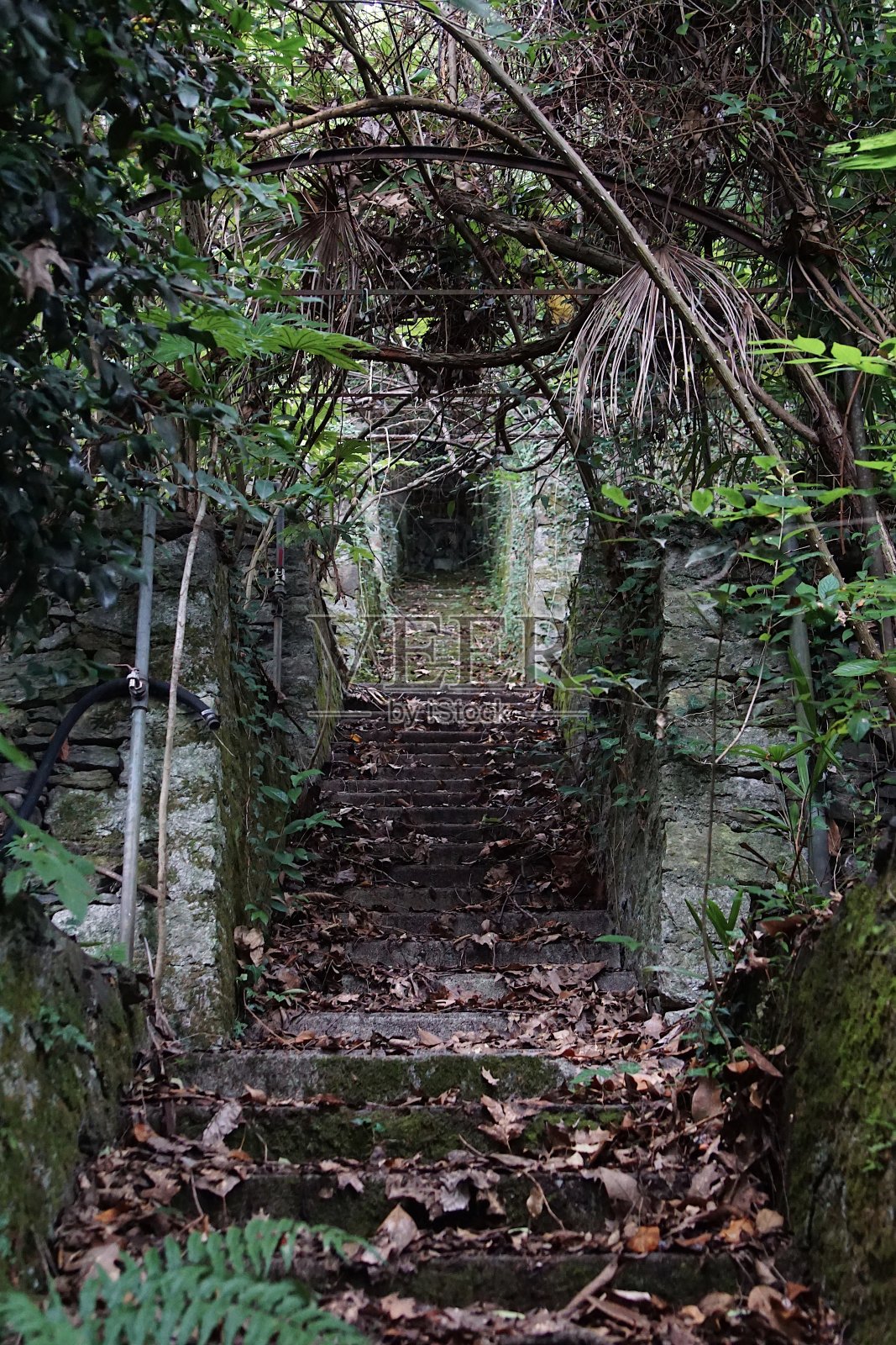 意大利的废弃公园，有温室照片摄影图片