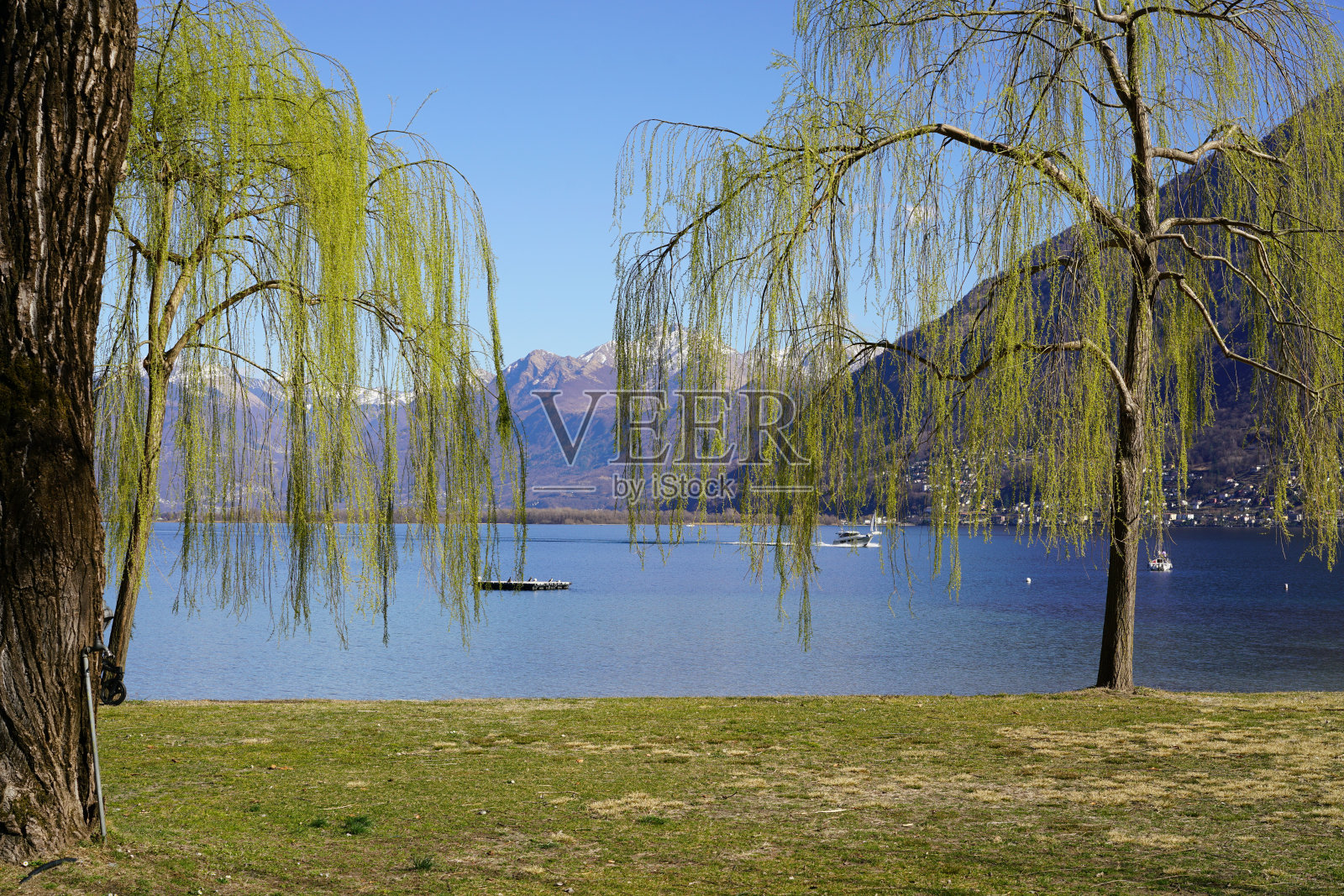 洛迦诺公园，春光明媚照片摄影图片