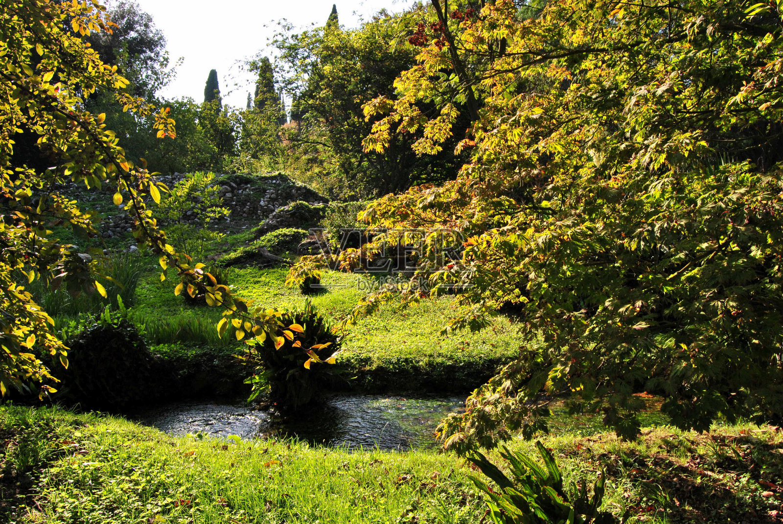 Ninfa花园照片摄影图片