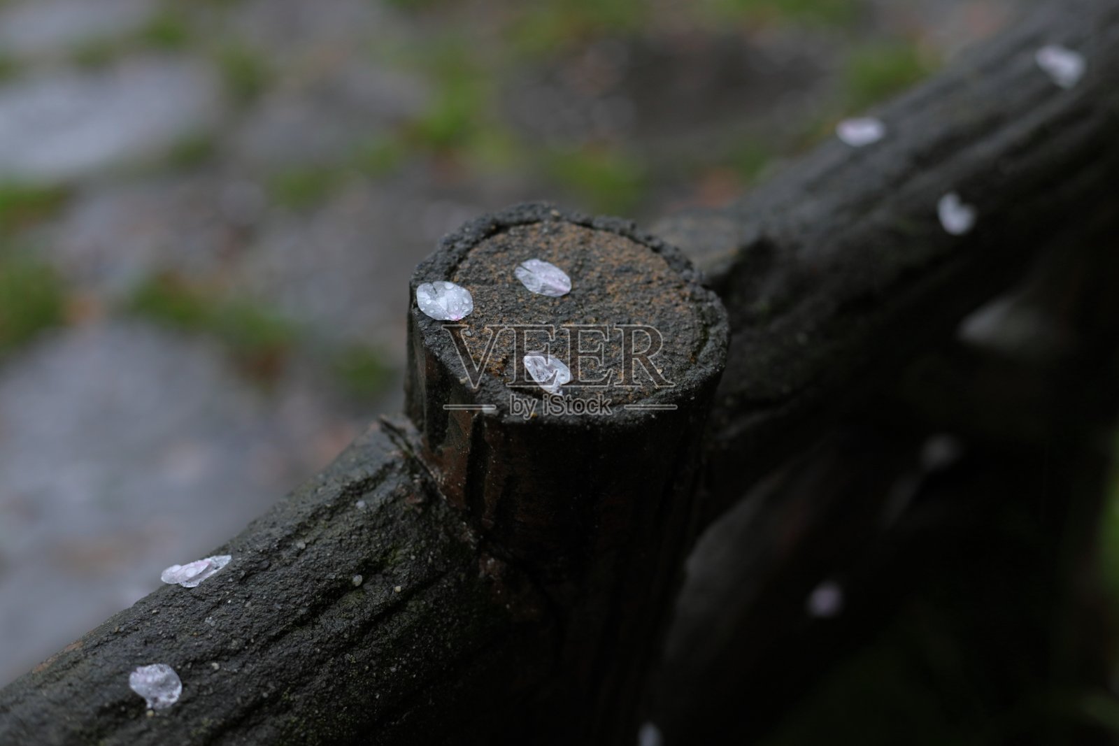 木头上的石头特写镜头照片摄影图片