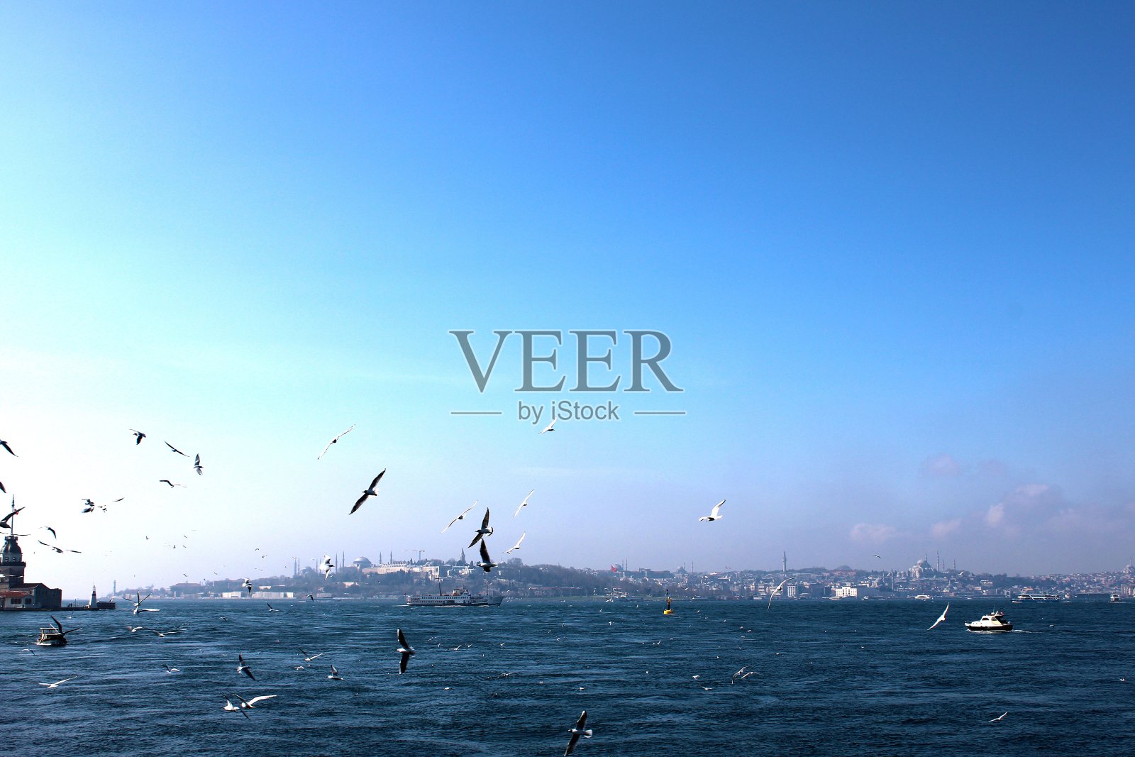 伊斯坦布尔和海鸥照片摄影图片