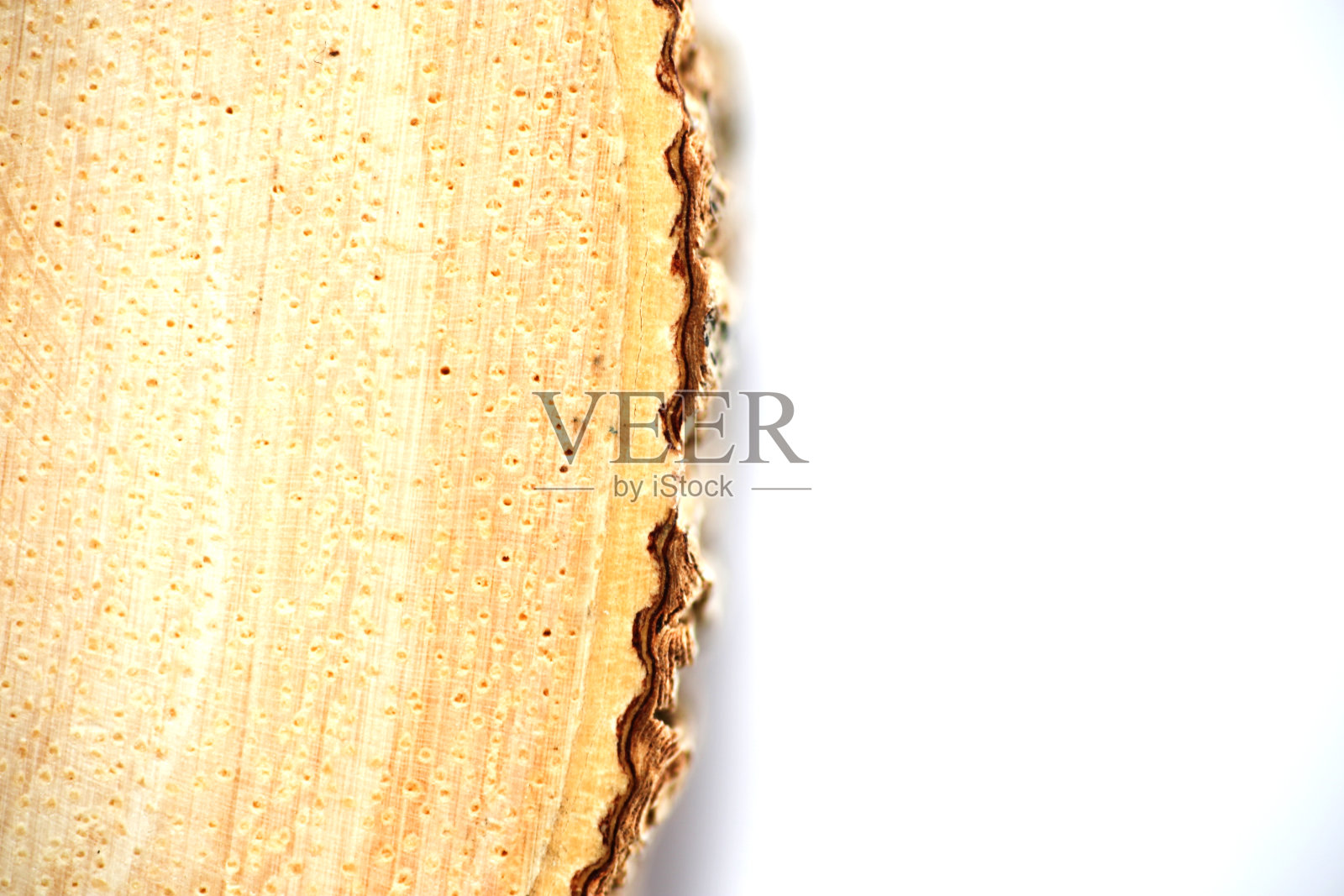 木环-在白色背景上孤立的木环照片摄影图片