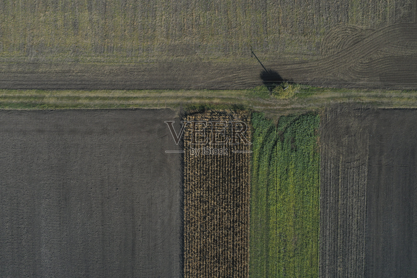 鸟瞰图不同的农业领域在农村。无人机拍摄于春日照片摄影图片