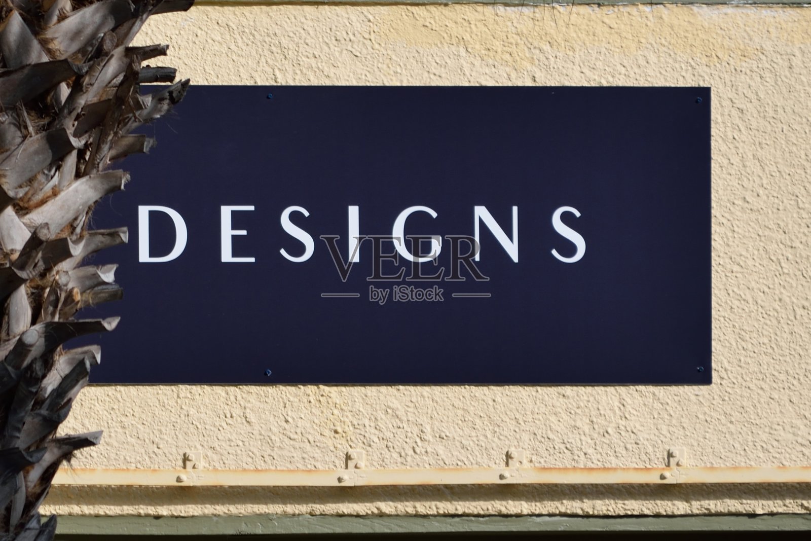 设计照片摄影图片