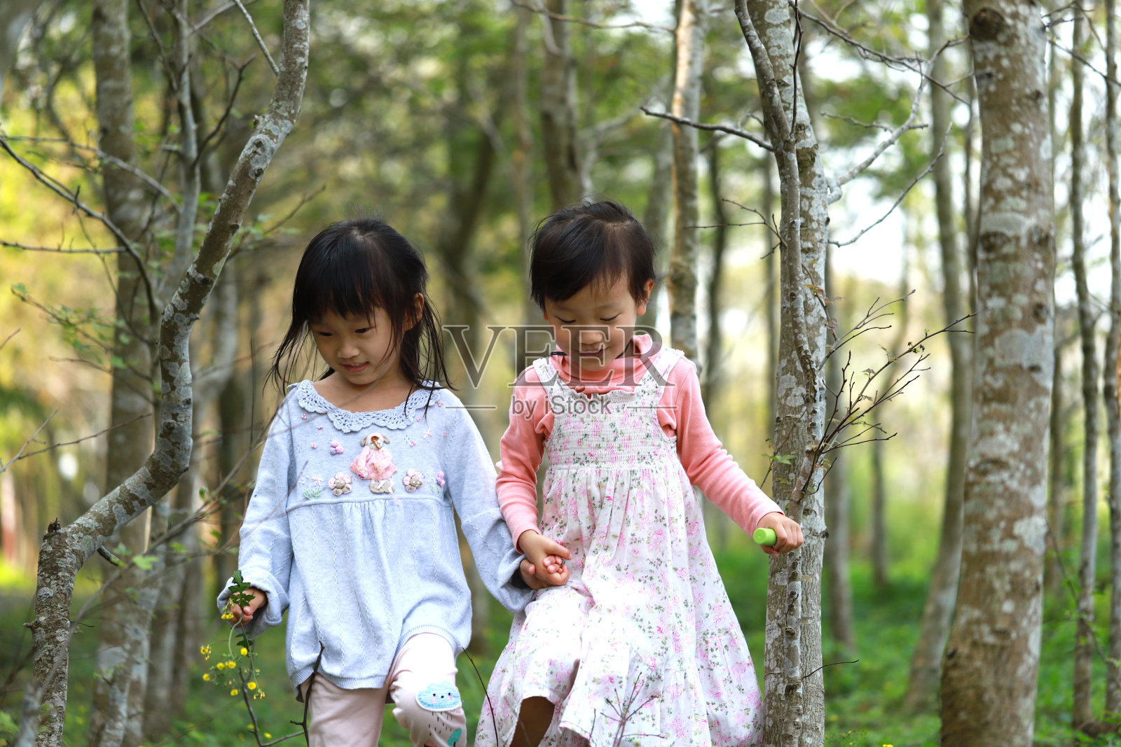两个亚洲女孩在森林里奔跑。照片摄影图片