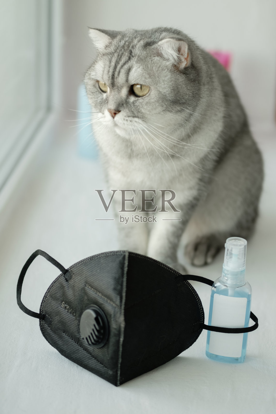 一只灰色条纹的小猫坐在窗台上，旁边有一个黑色口罩和杀菌剂。自我隔离的概念、居家隔离、冠状病毒对动物的影响、孤独和感染照片摄影图片