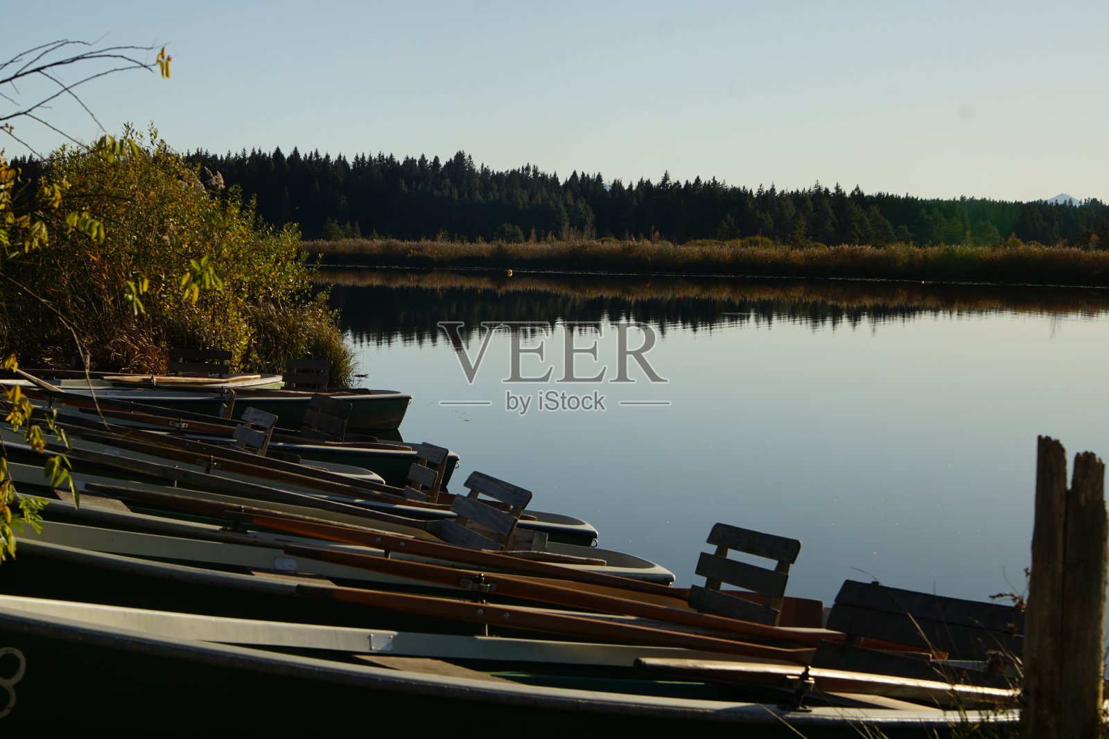在德国南部的一个湖里划船照片摄影图片