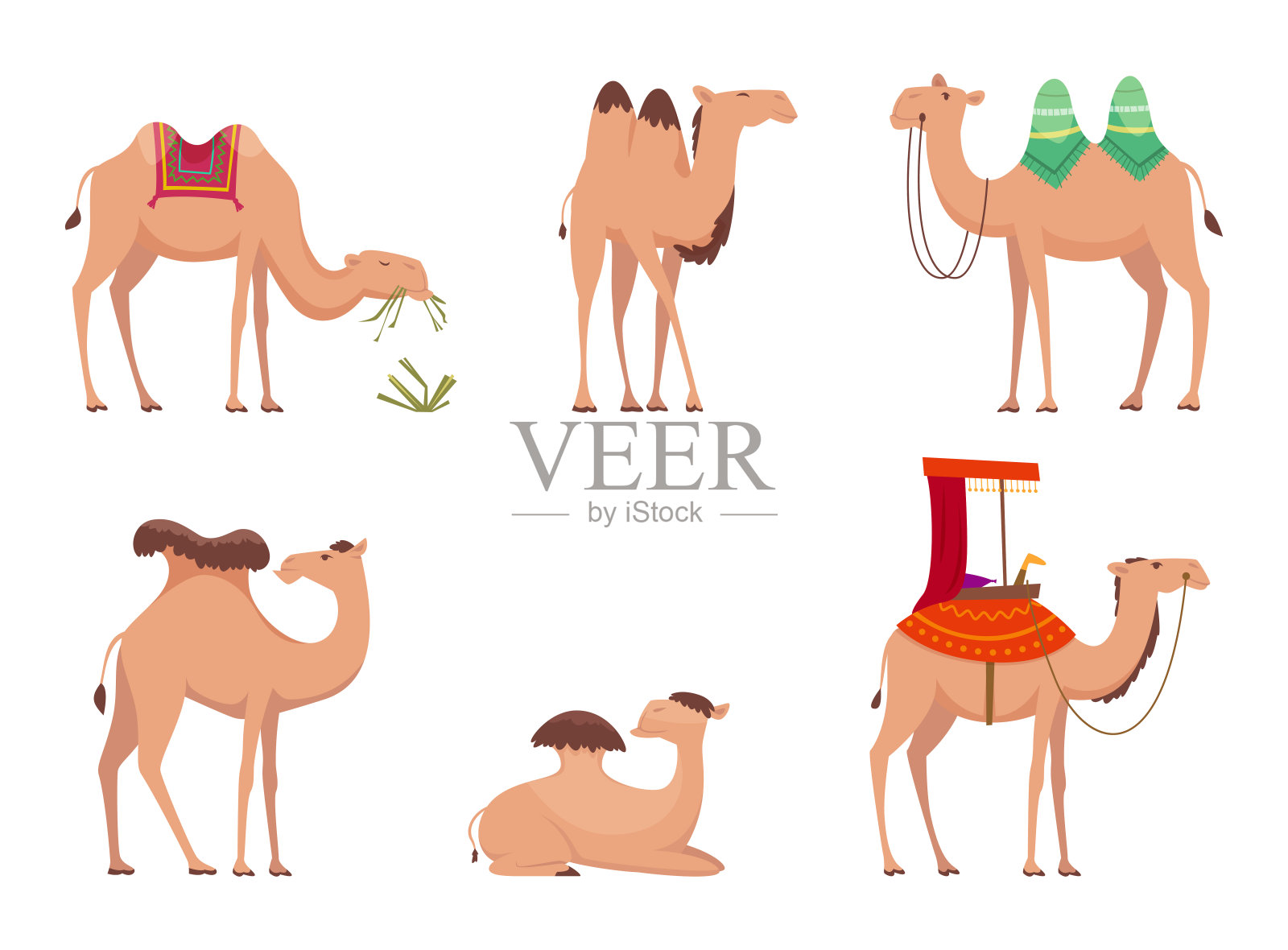 骆驼。非洲沙漠埃及或印度旅行动物矢量卡通骆驼插图插画图片素材