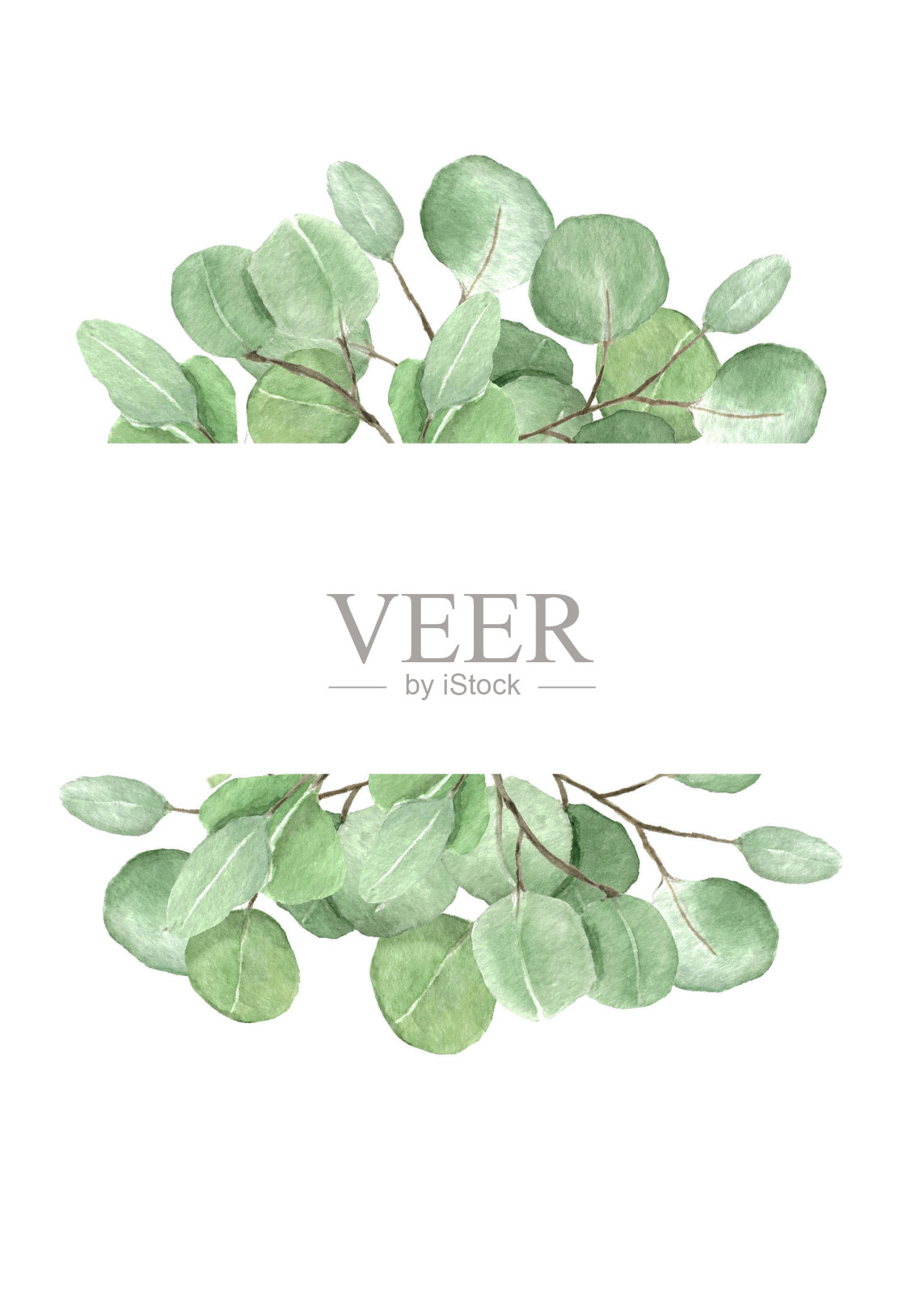 桉树框架组成。插画图片素材