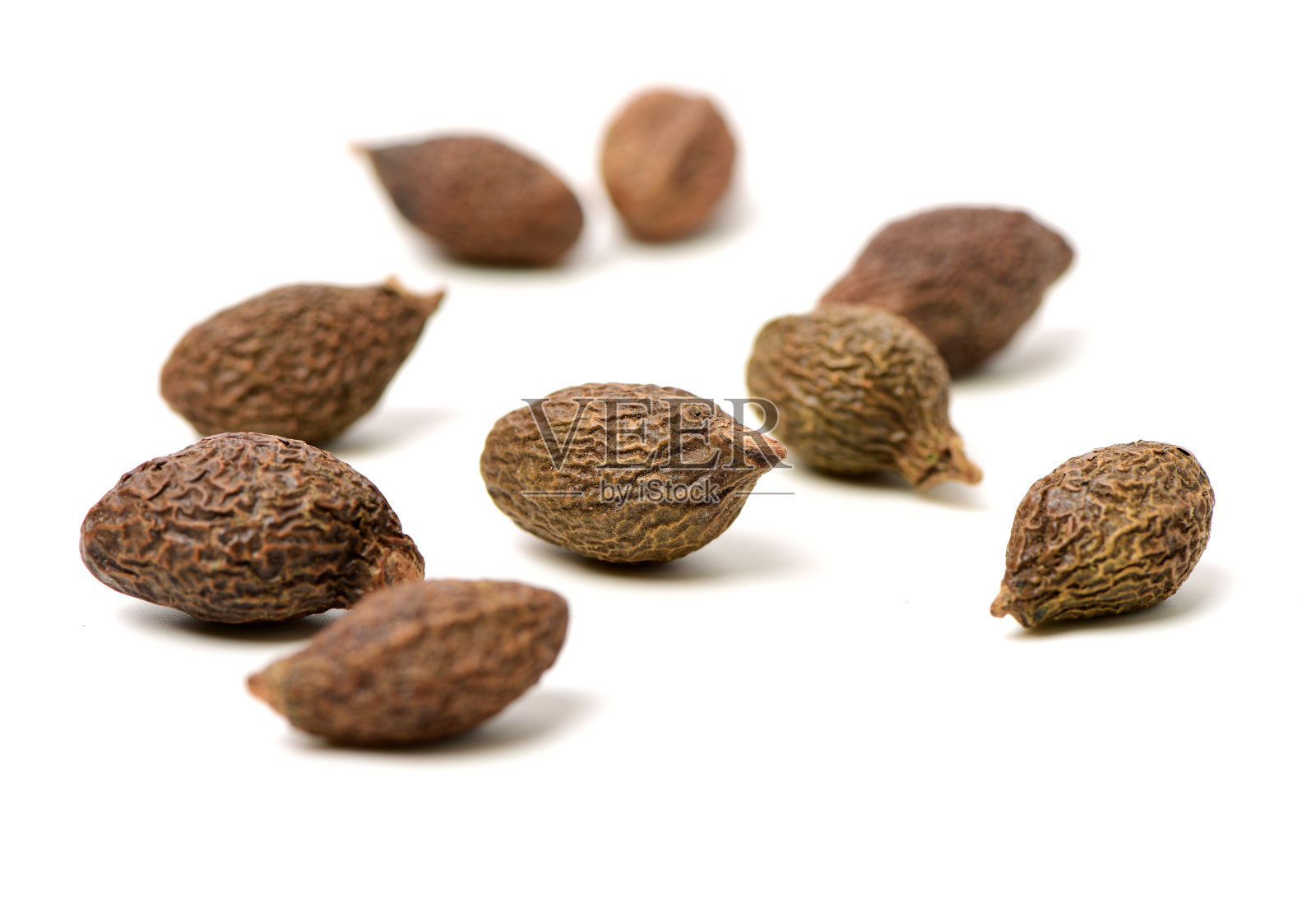 斯特库利亚·莱奇诺福拉照片摄影图片