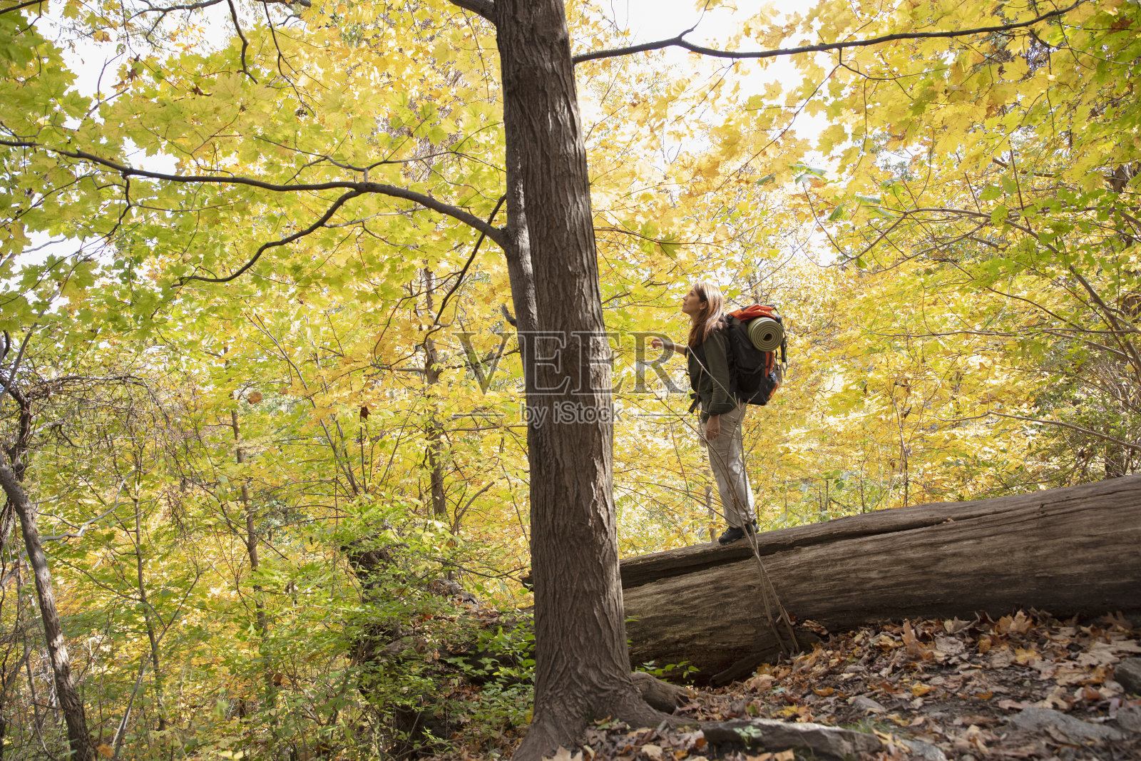 在户外大自然中徒步的女人照片摄影图片
