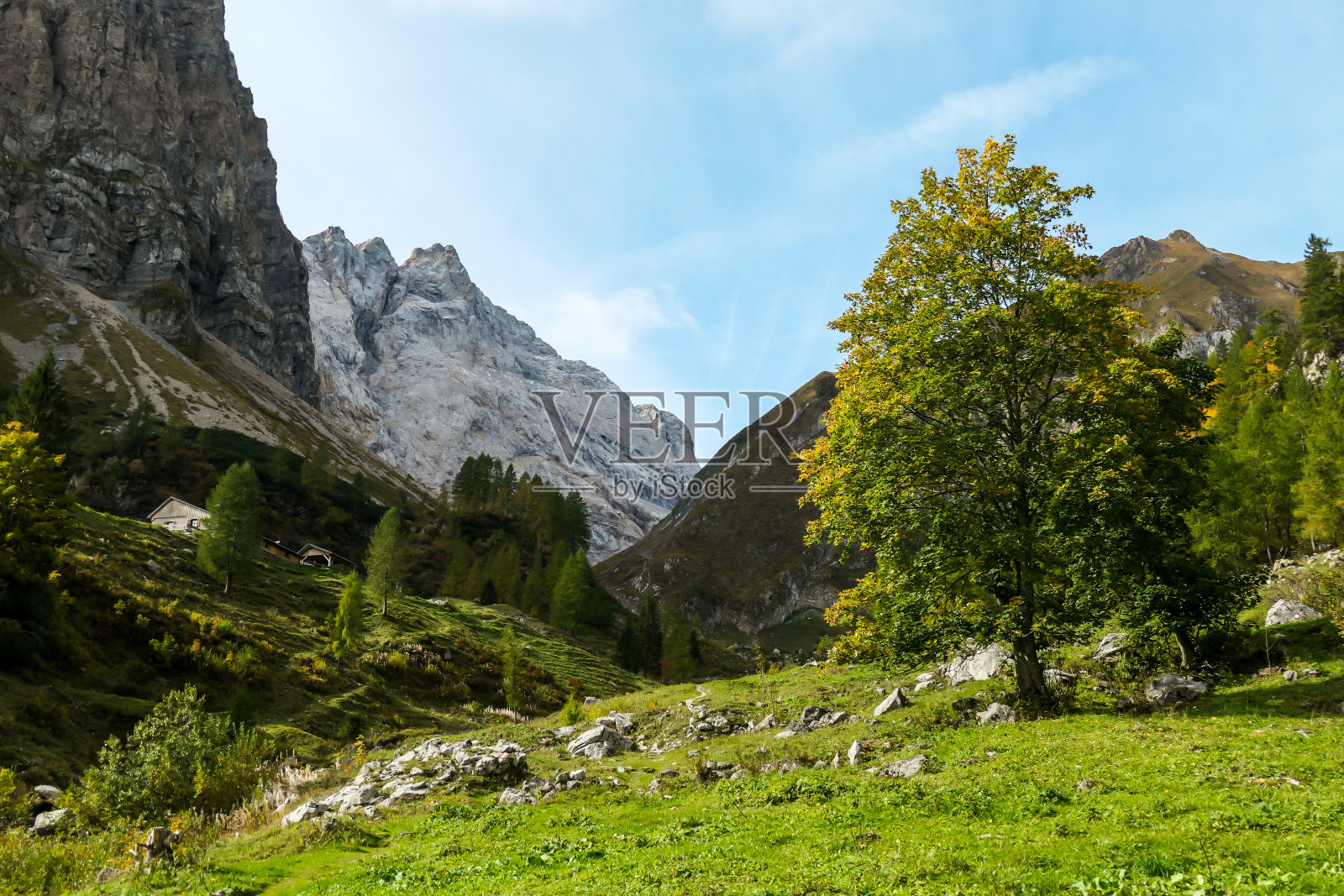 Hohe Warte -阿尔卑斯山的季节变化照片摄影图片