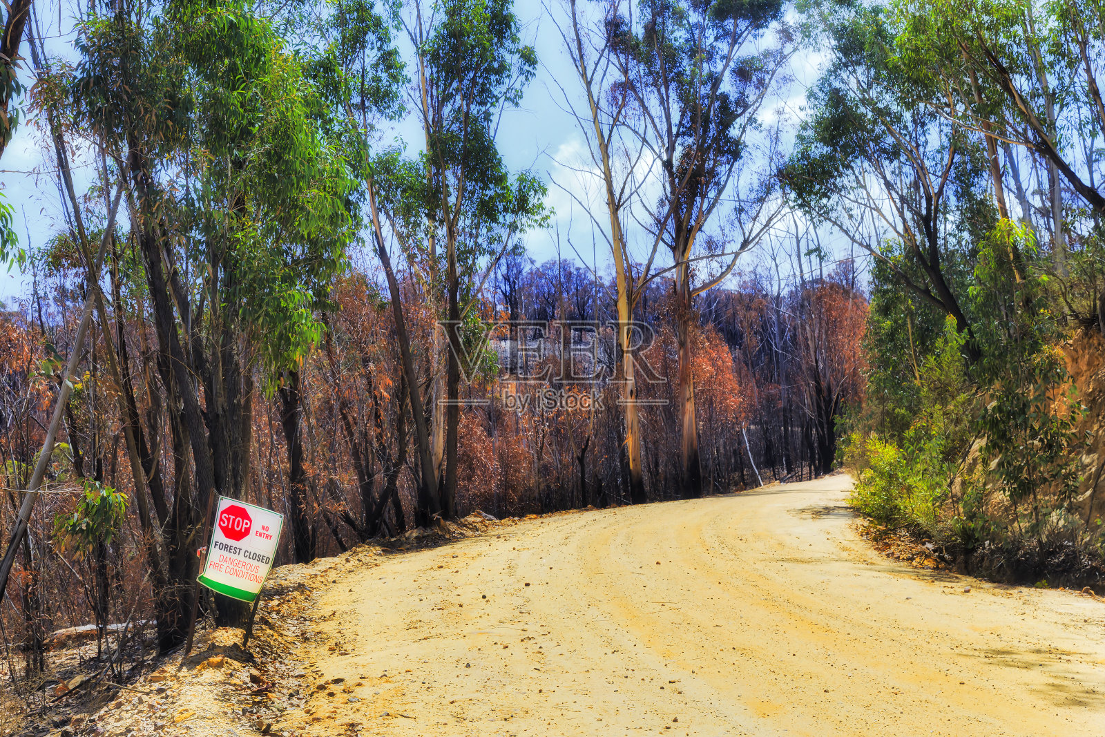 BM路封闭标志森林大火照片摄影图片