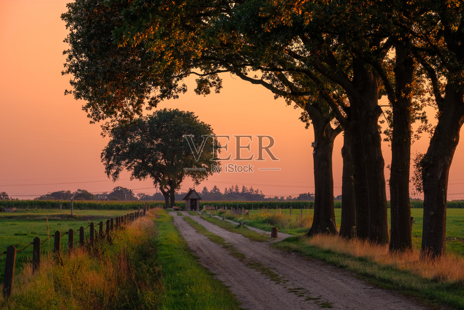 在Zenderen附近的荷兰风景日落(荷兰)照片摄影图片