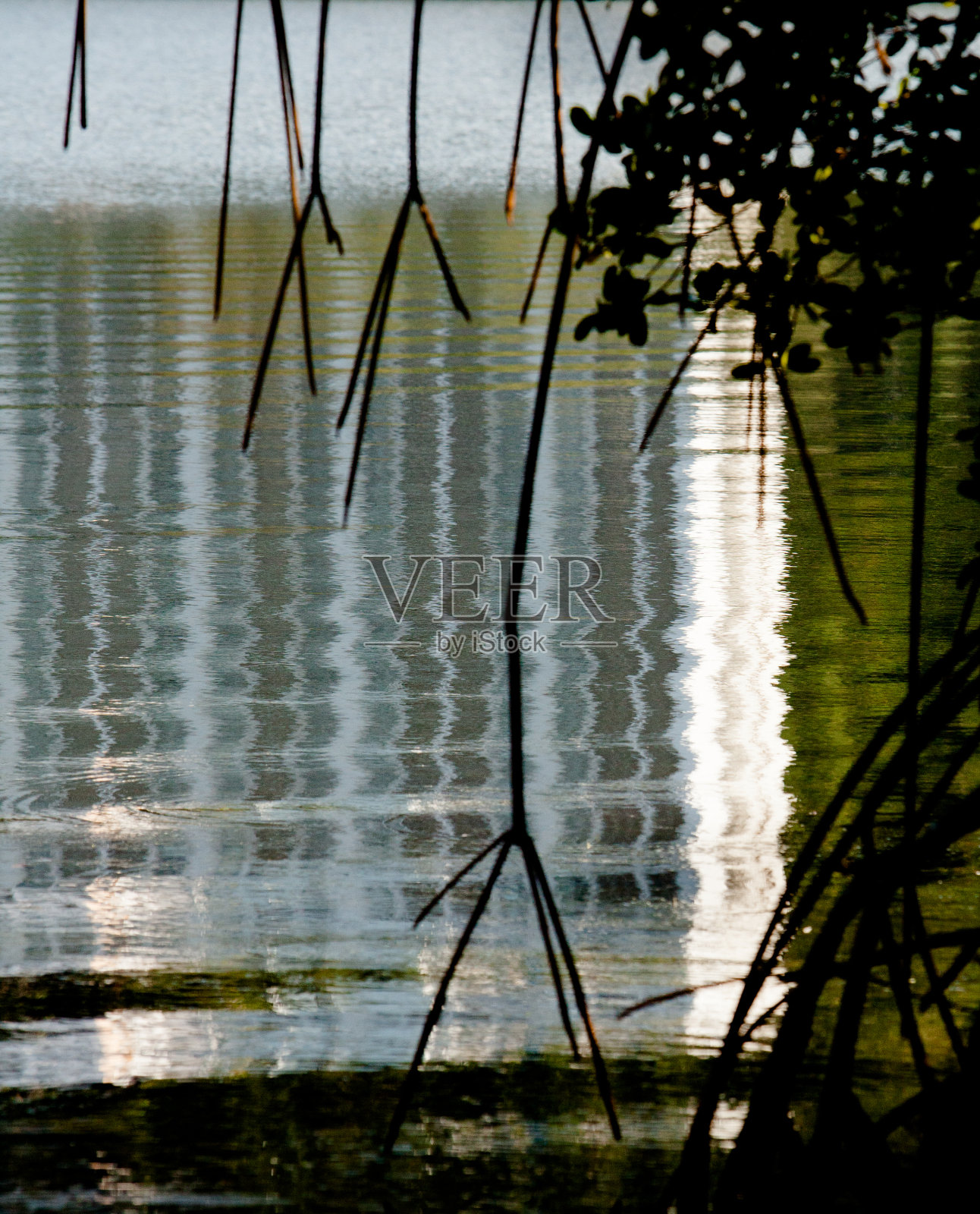 被风吸引的建筑倒映在泻湖上照片摄影图片