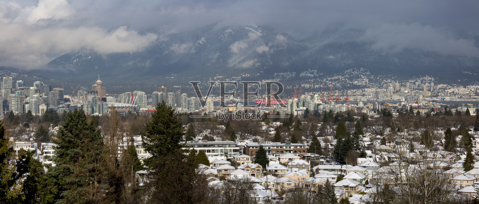 加拿大不列颠哥伦比亚省温哥华伊丽莎白女王公园的雪景照片摄影图片