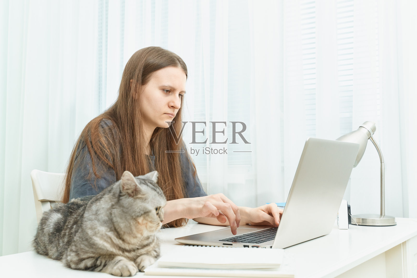 为学生提供远程教育。隔离自我隔离社交恐惧症在线学习照片摄影图片