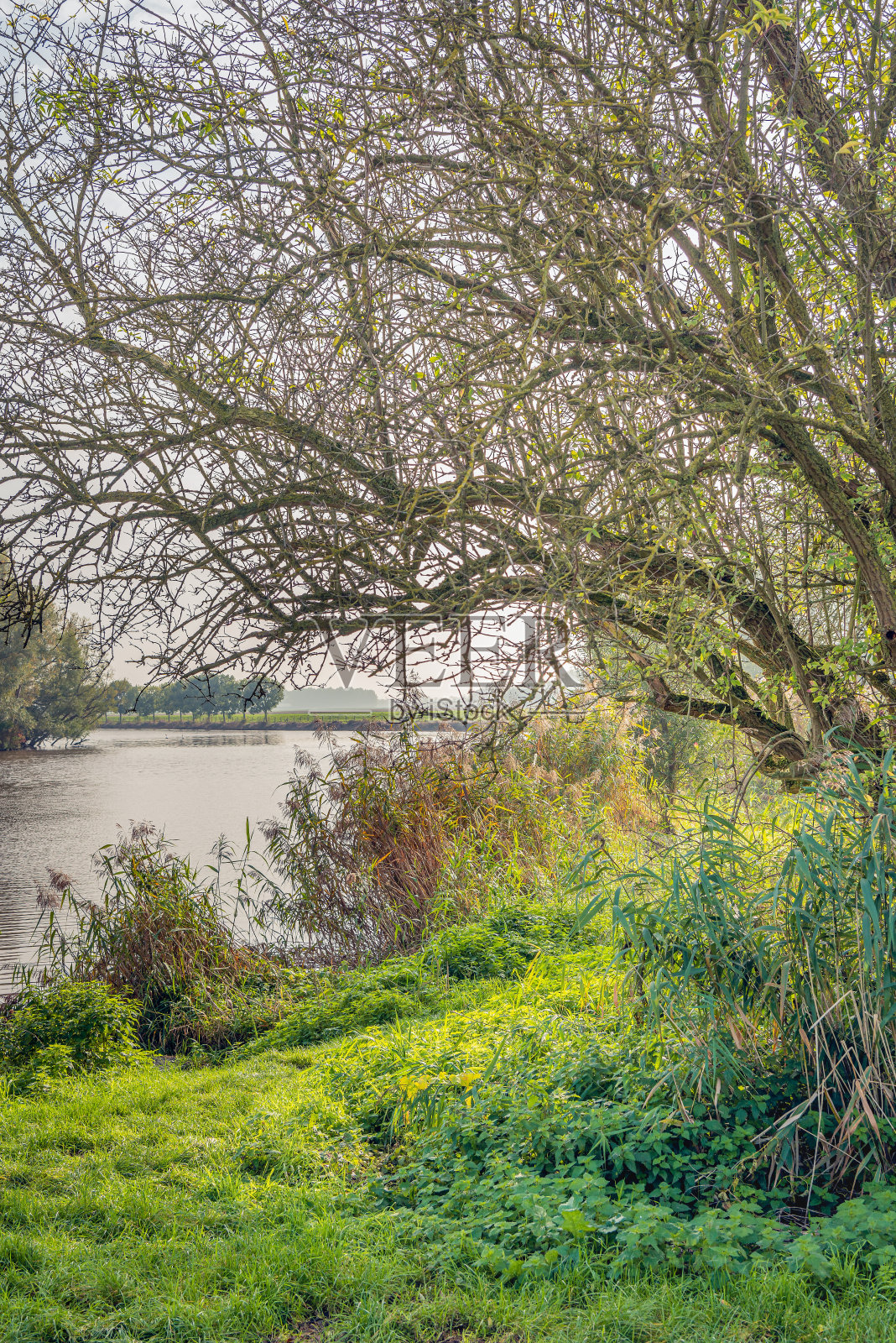 俯瞰一个小湖照片摄影图片