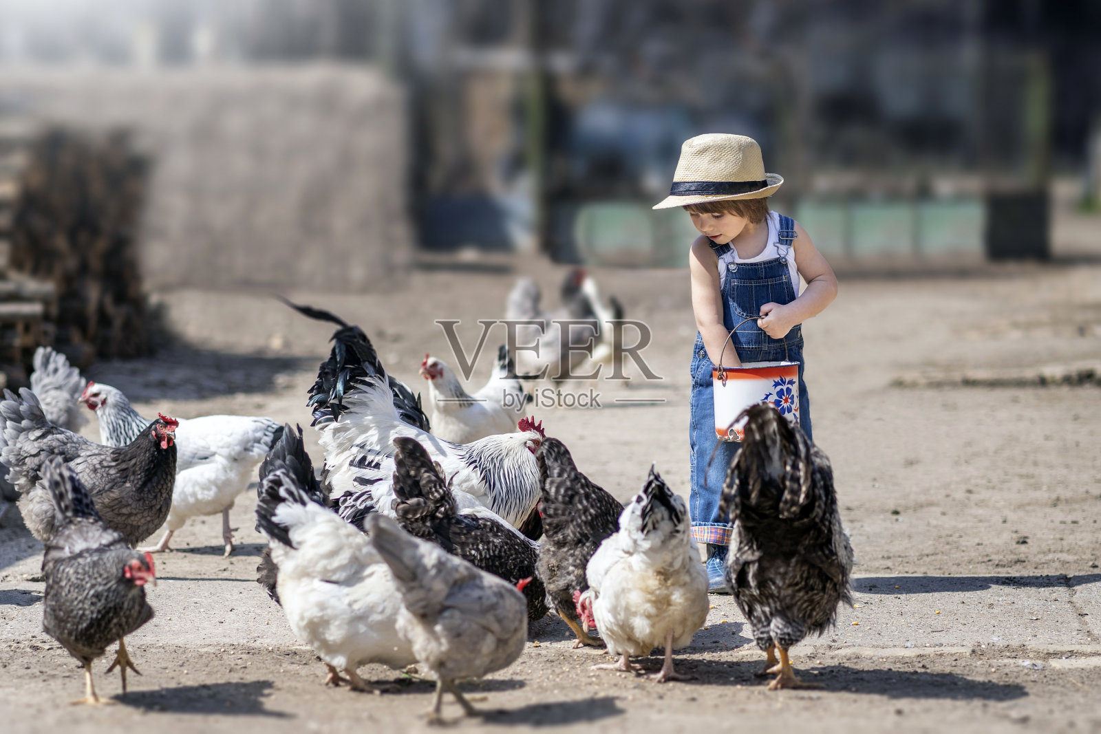 小农民照片摄影图片