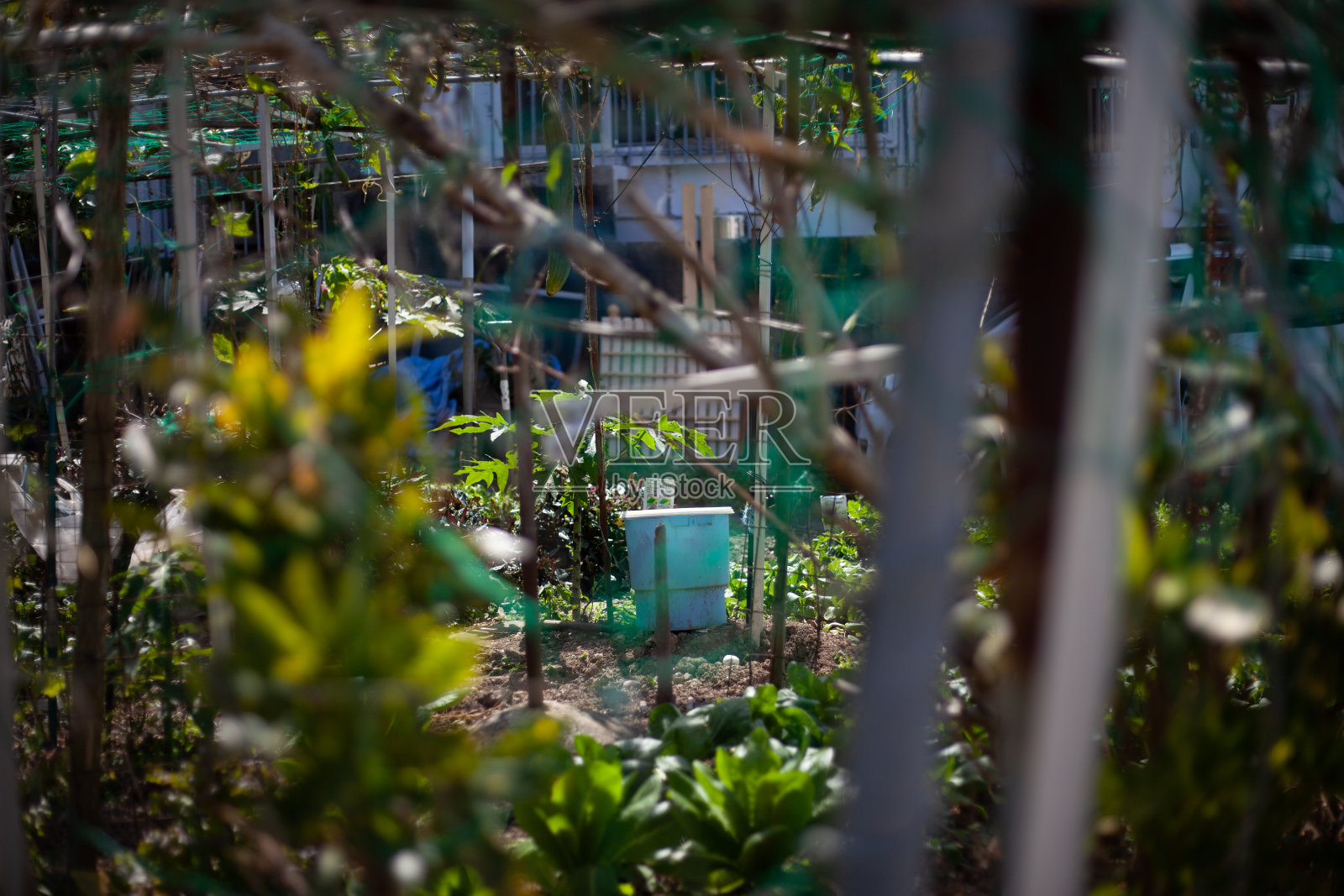 自己的农场照片摄影图片