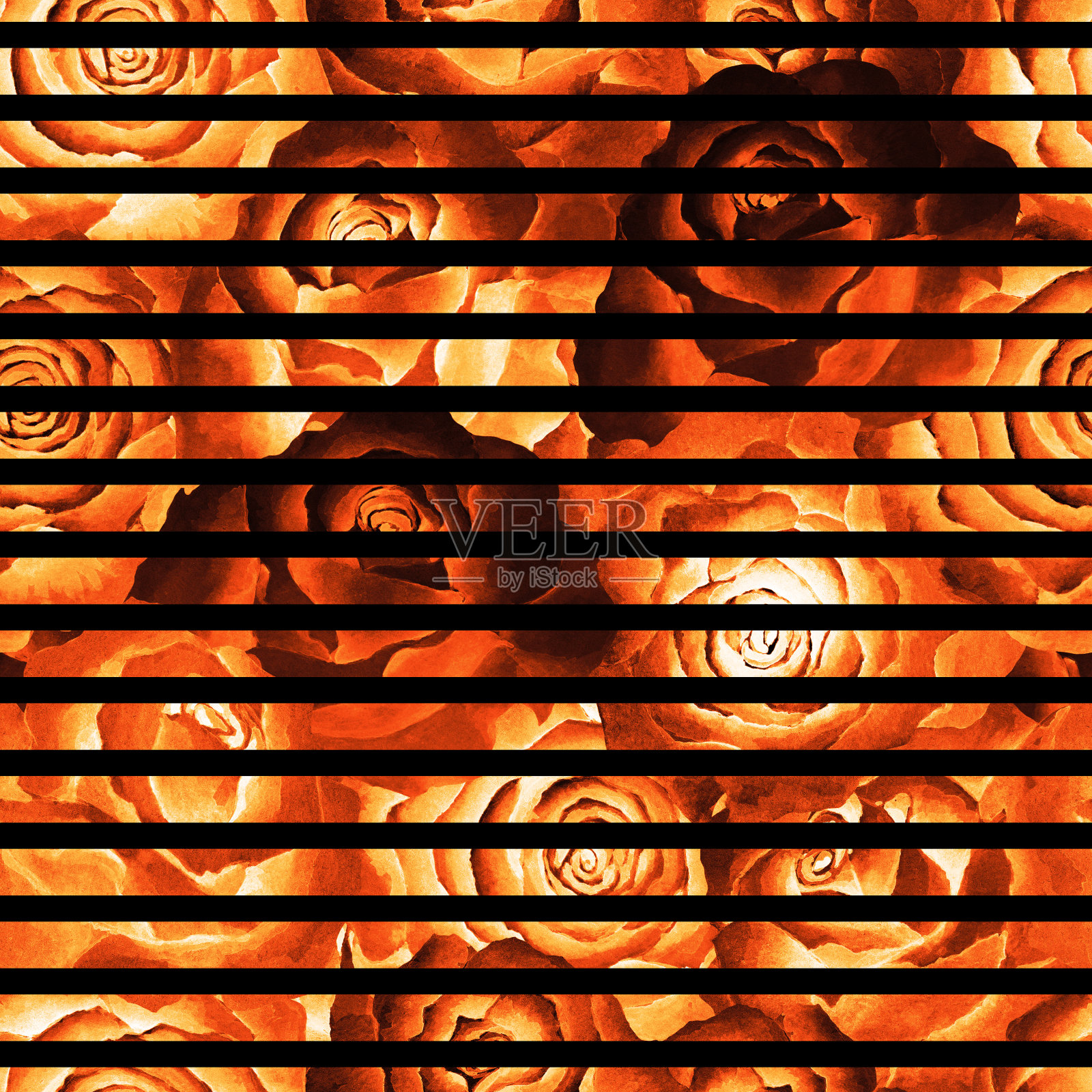 无缝图案火色玫瑰和黑色条纹，背景。手画水彩。插画图片素材