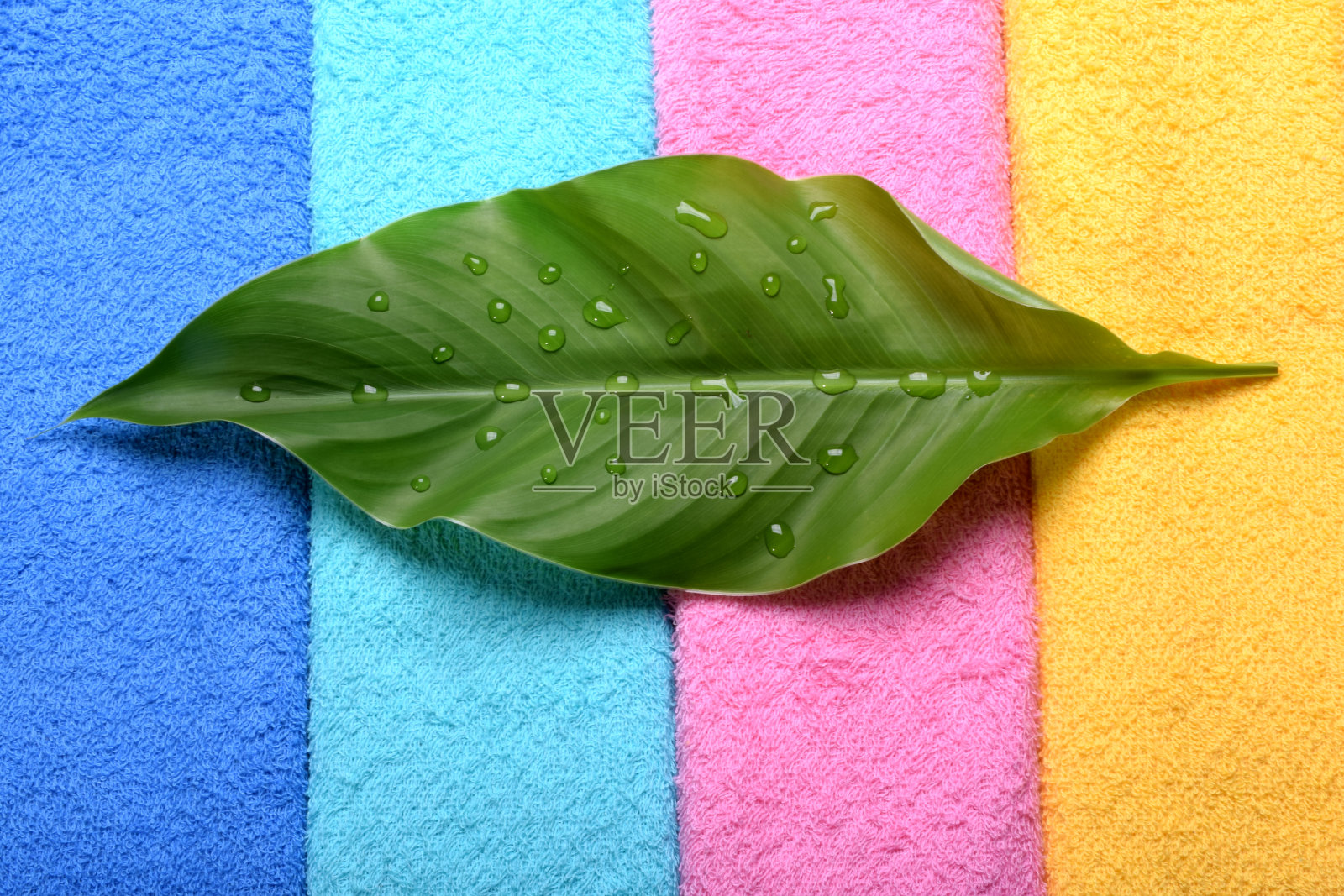 多色毛巾衣上的绿叶照片摄影图片