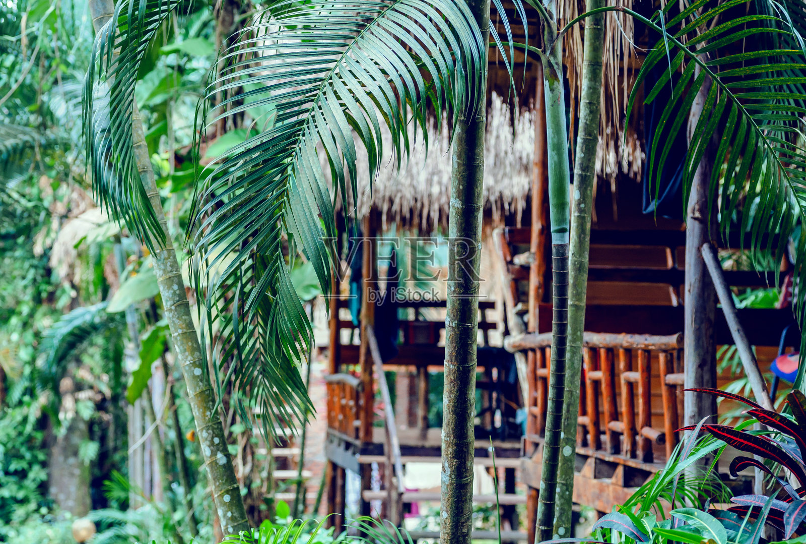 棕榈树环绕在郁郁葱葱的绿岛上的木平房周围。东南亚游客或当地人的竹屋照片摄影图片