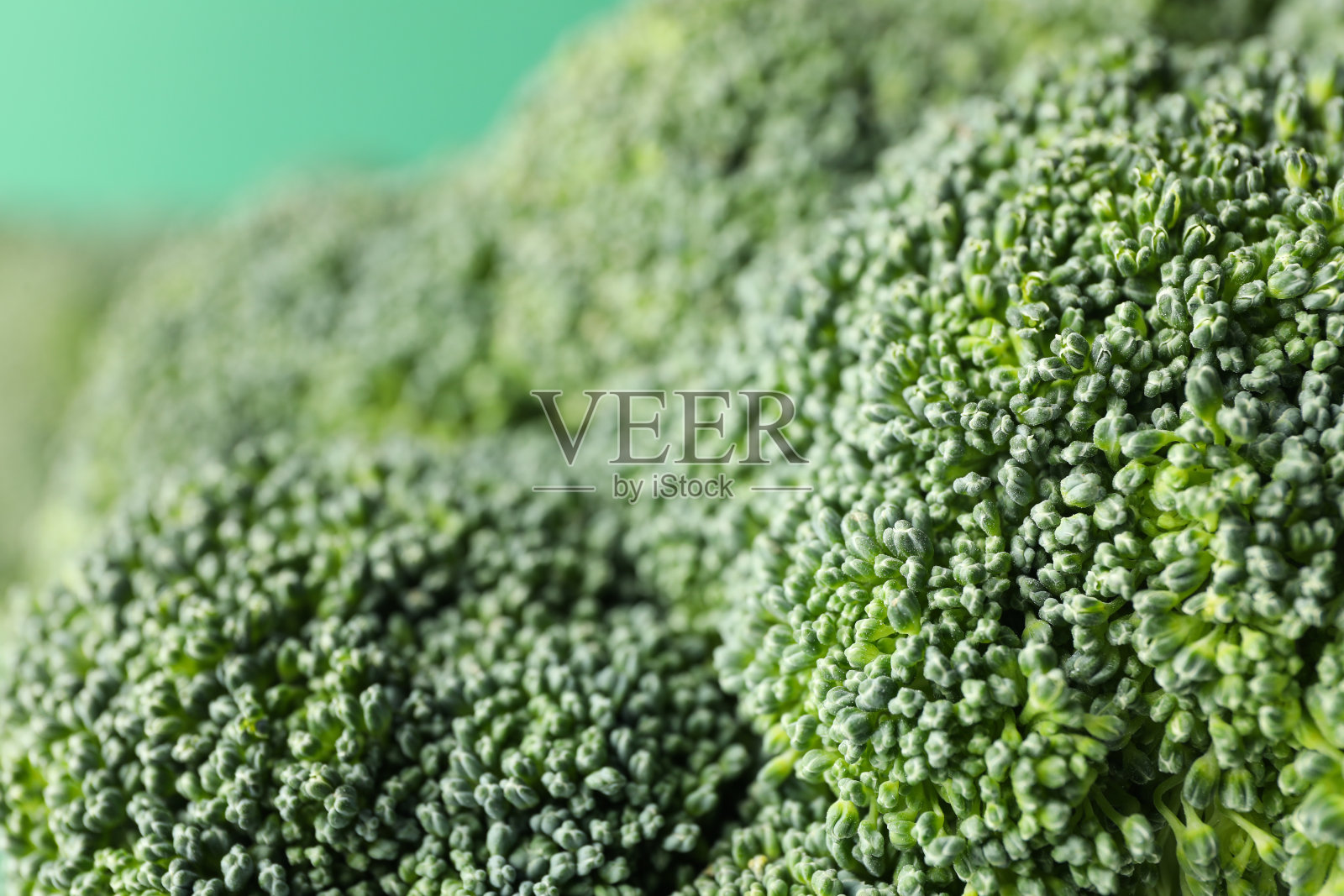 生西兰花,宏。新鲜的蔬菜。健康的食物照片摄影图片