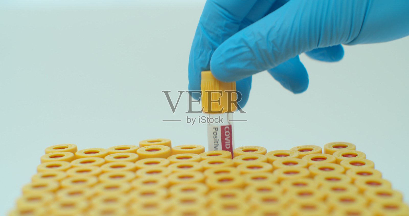 戴着蓝色橡胶手套的女性双手从试管架上取下试管，近距离检查covid-19。在实验室进行研究工作。科学病毒保健疫苗缓慢的运动。照片摄影图片