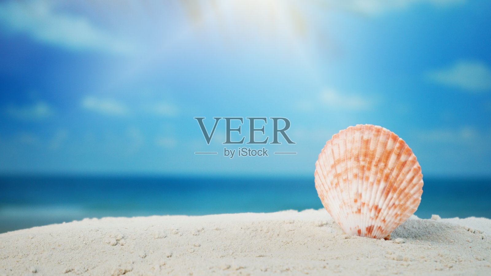 靠近沙滩上的贝壳和模糊的海滩背景夏季时间概念。照片摄影图片