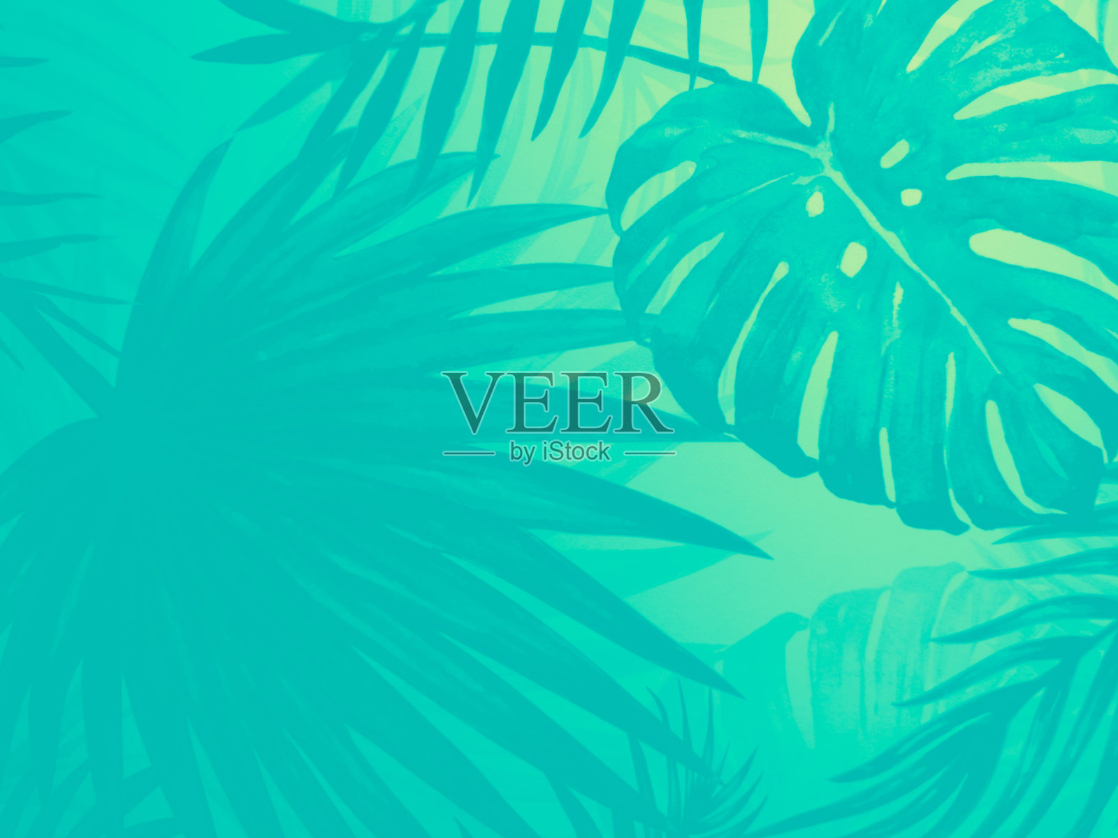 美丽抽象的颜色白色和绿色三叶大理石在白色的背景和黑白花岗岩瓷砖地板在绿色的背景，爱白色的叶子横幅图形，艺术马赛克装饰，绿色的花朵插画图片素材