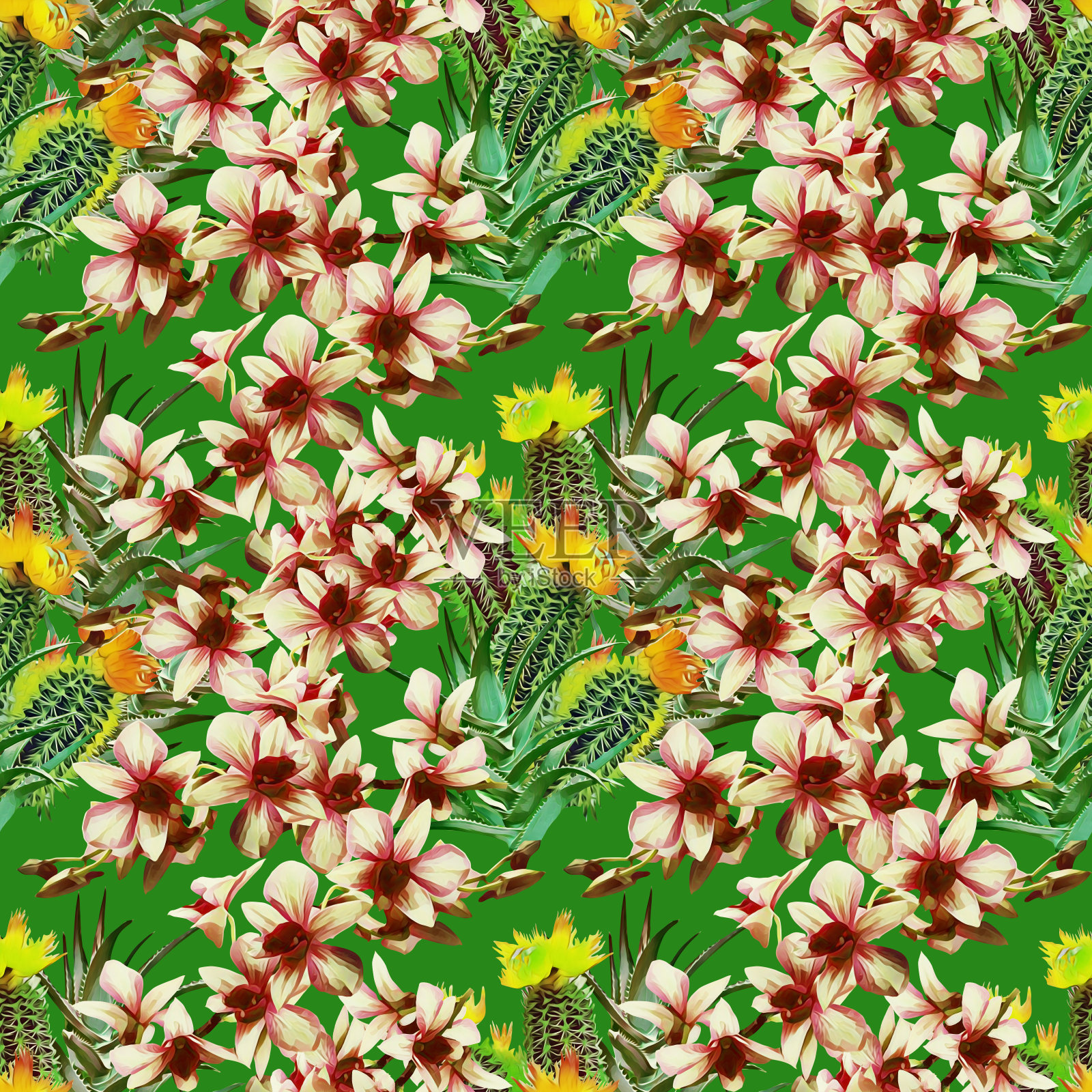 仙人掌与兰花，图案无缝。插画图片素材