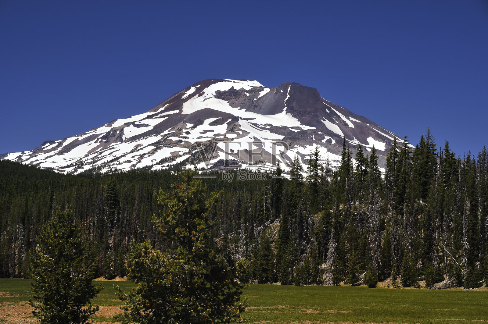 南姐妹山俯瞰森林丘陵和高山草甸照片摄影图片